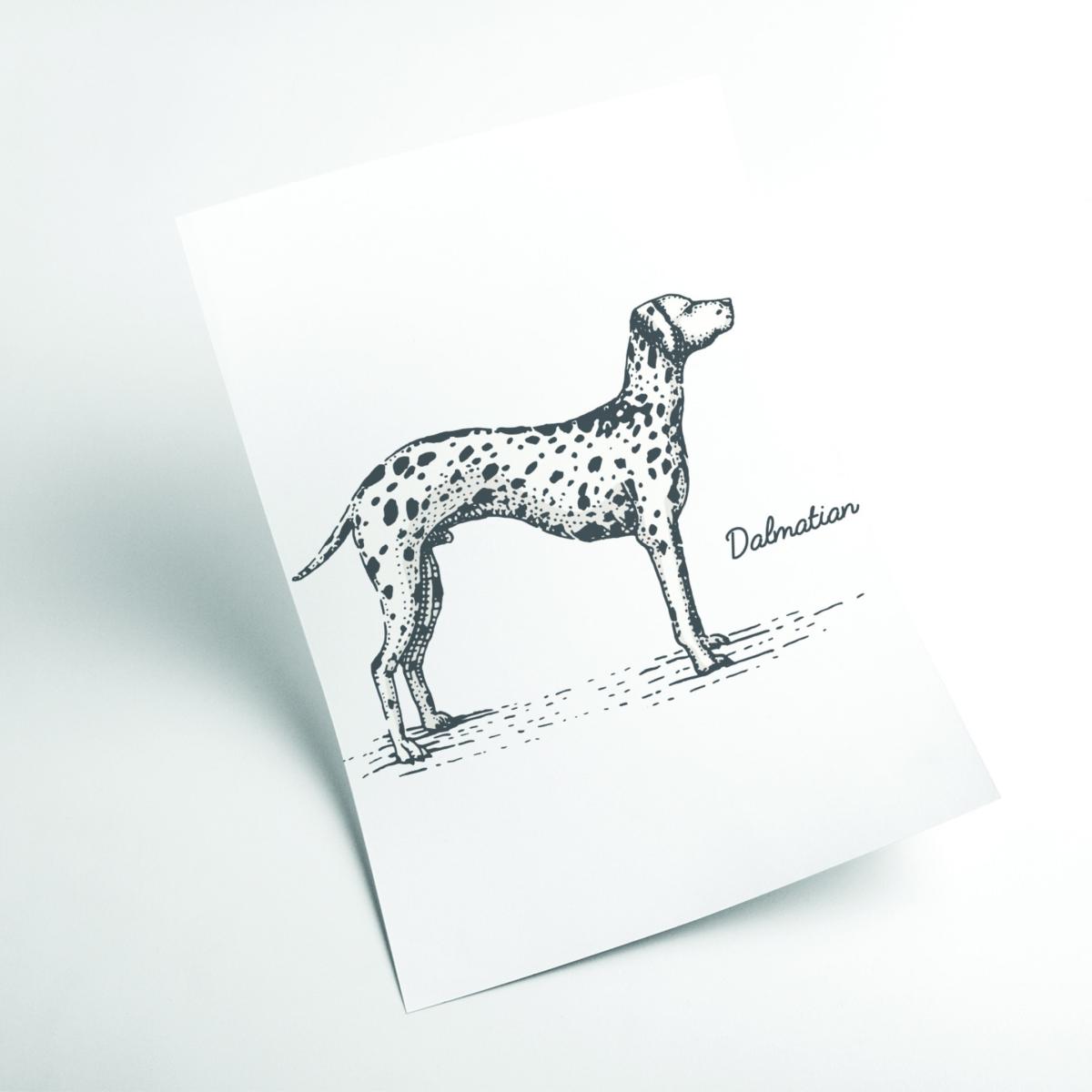 Grey Dalmation A4 210 X 297Mm Stanley Print House – image 2