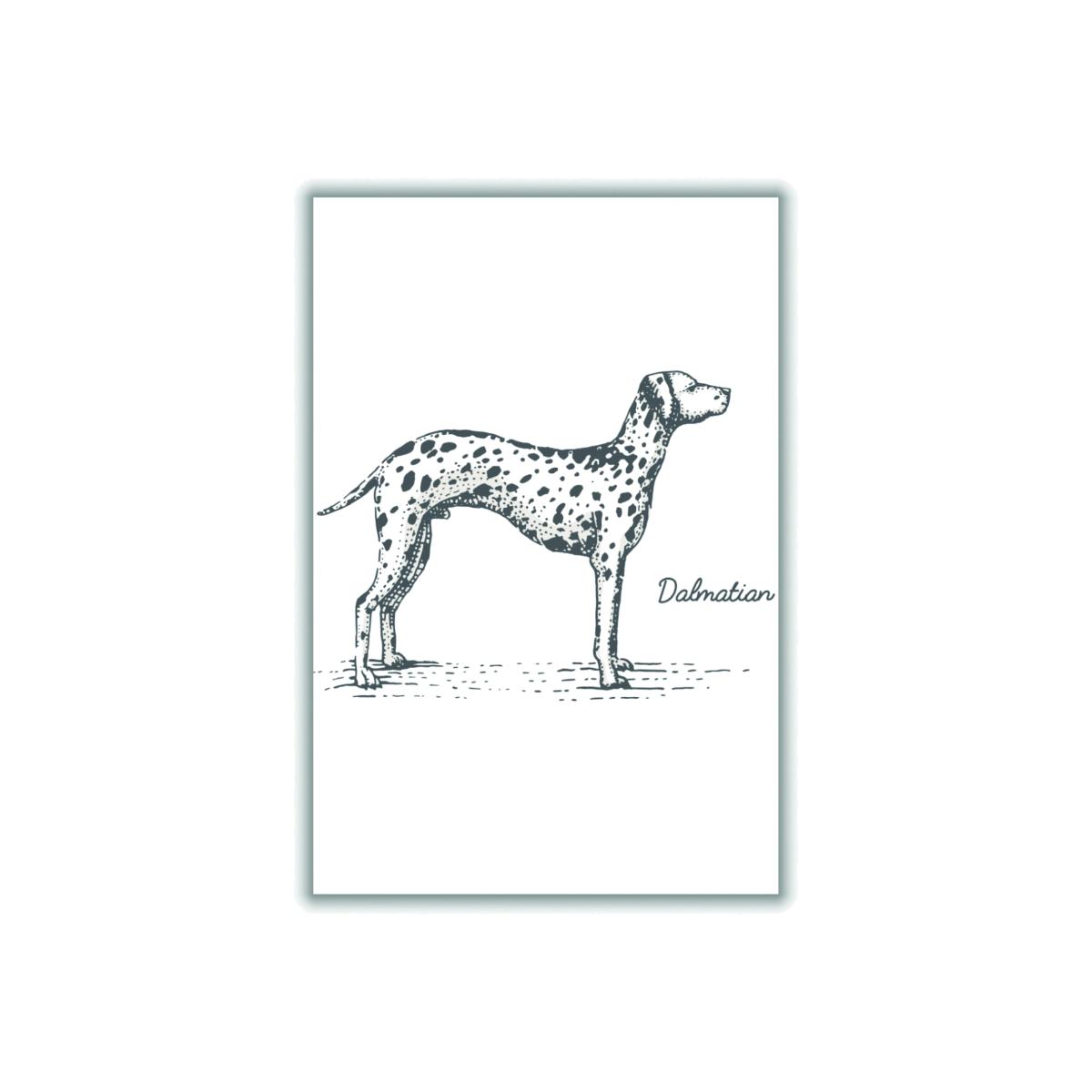 Grey Dalmation A4 210 X 297Mm Stanley Print House – image 1