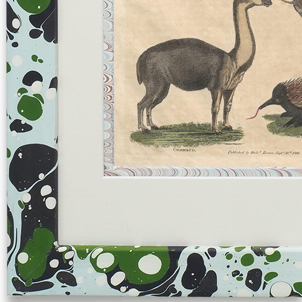 Green / Blue Buffon Print No. Thirty-Four In Glacier Frame Wildmore – image 2