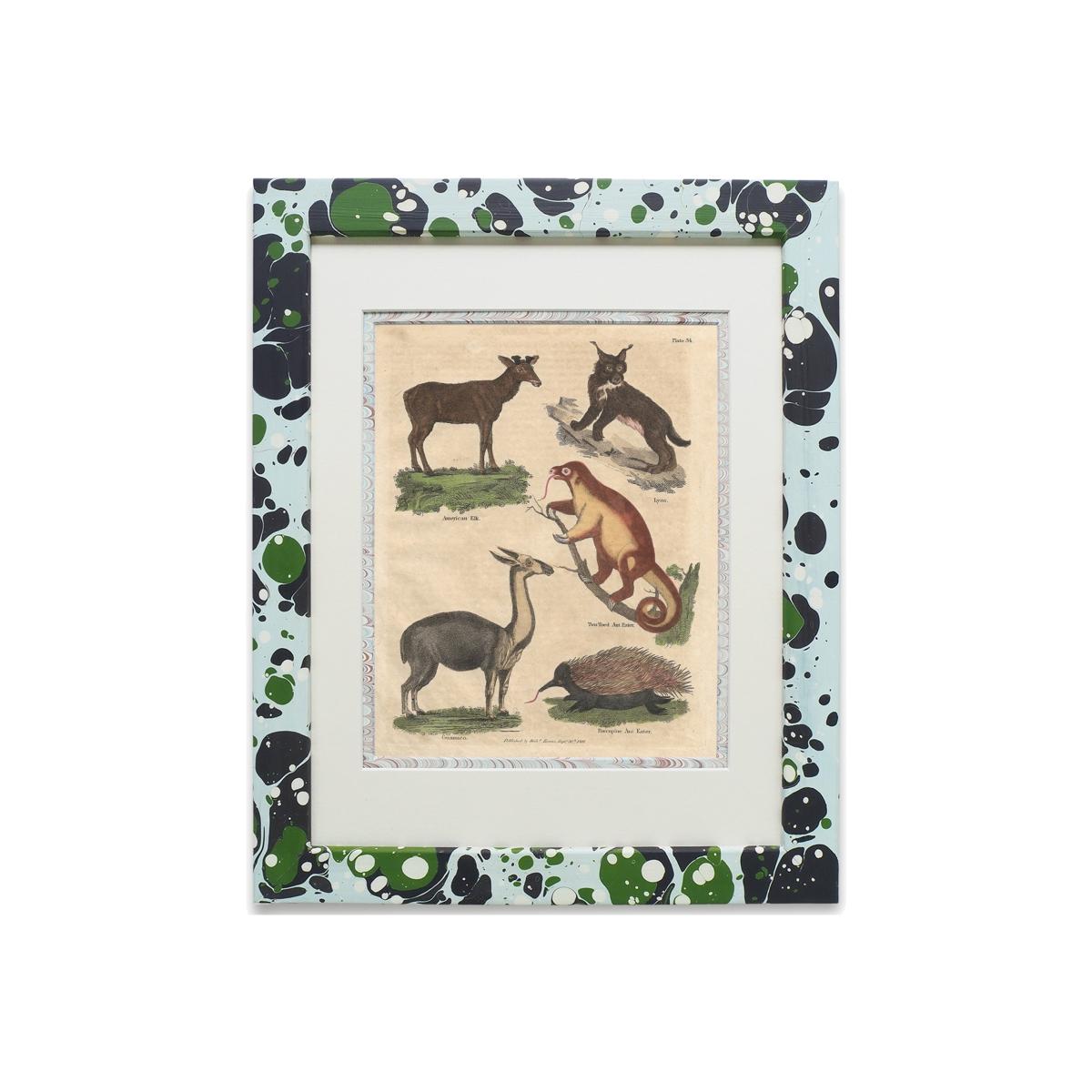 Green / Blue Buffon Print No. Thirty-Four In Glacier Frame Wildmore – image 1