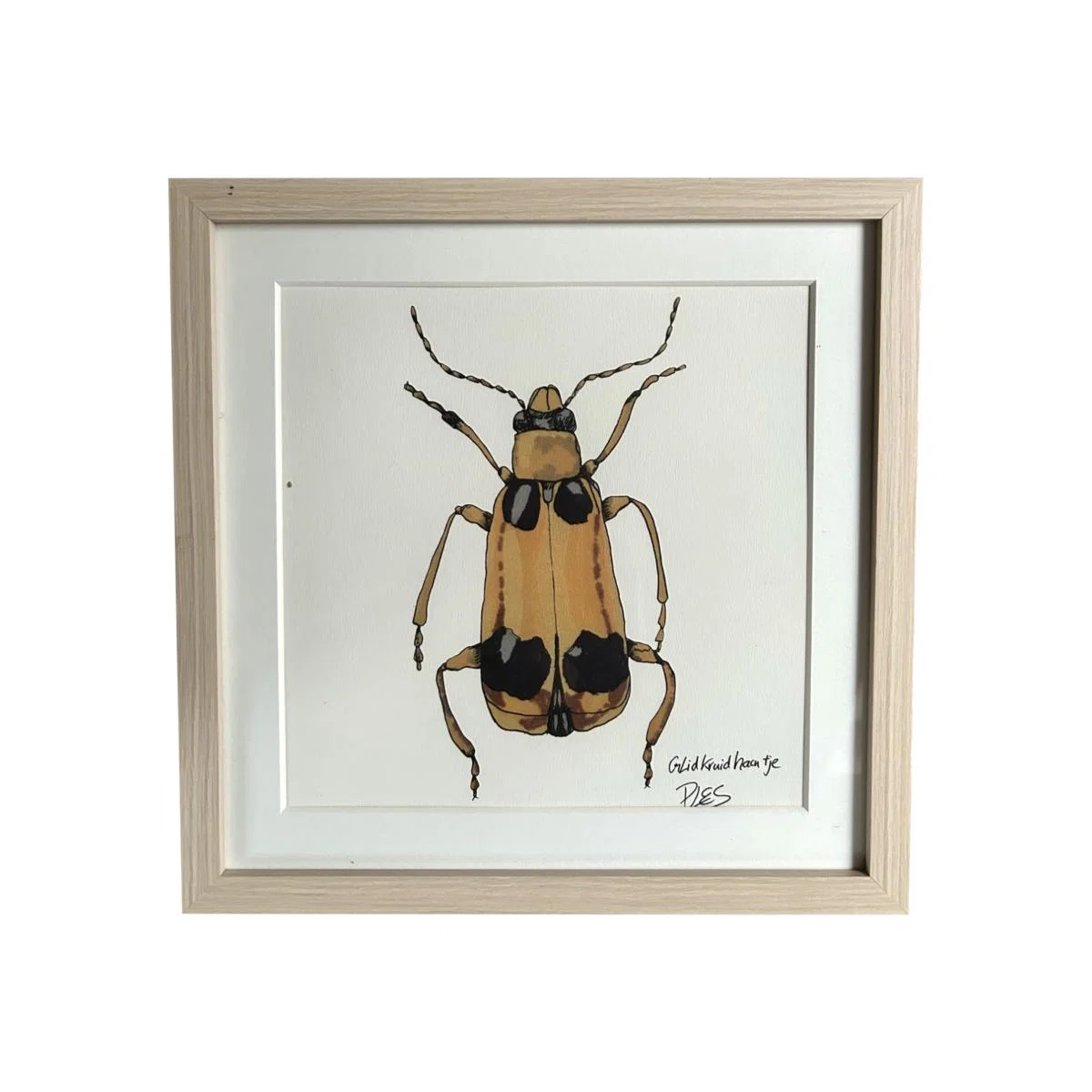 Yellow / Orange Painting Yellow Insect Catchii – image 1