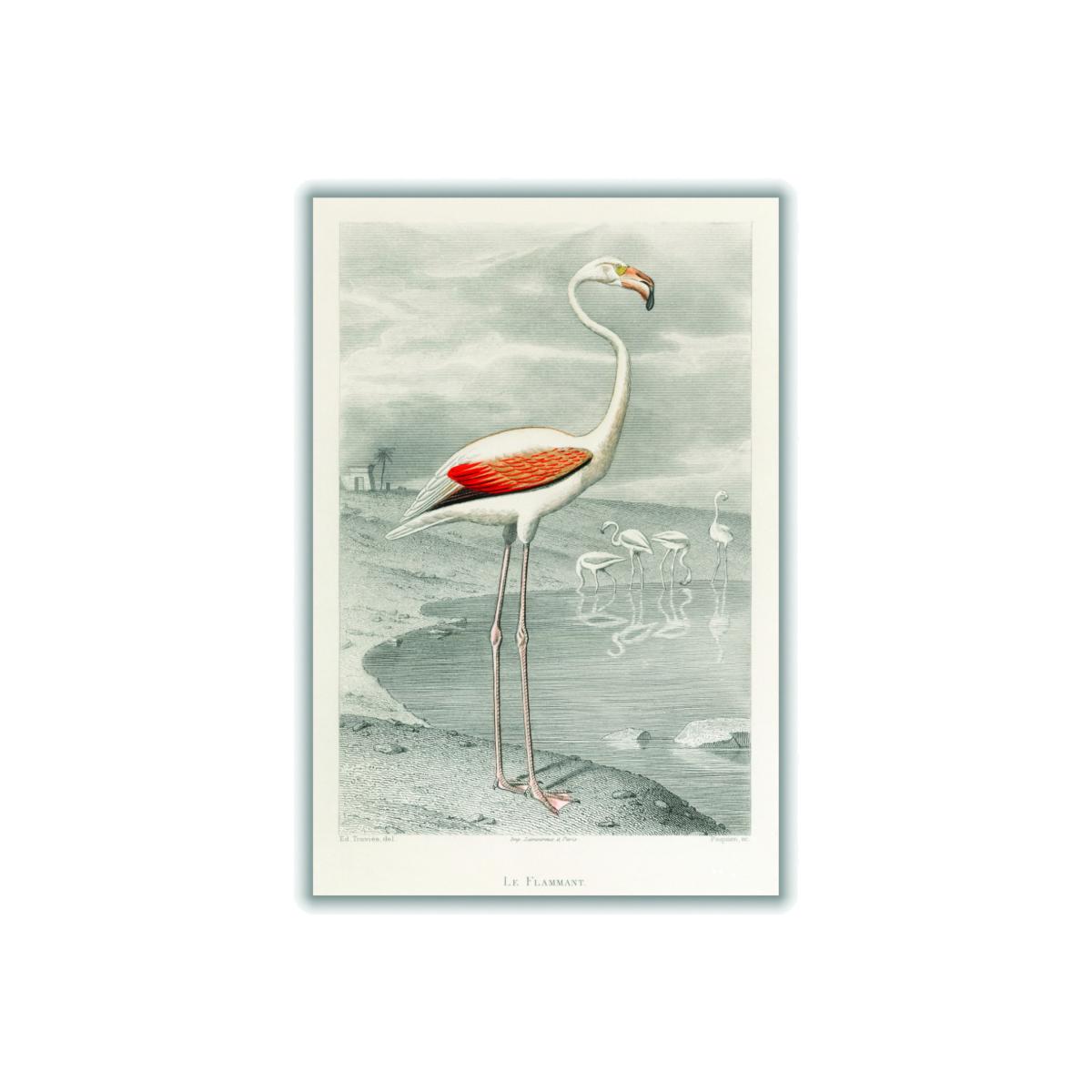 Yellow / Orange Flamingo Xxs Stanley Print House – image 1
