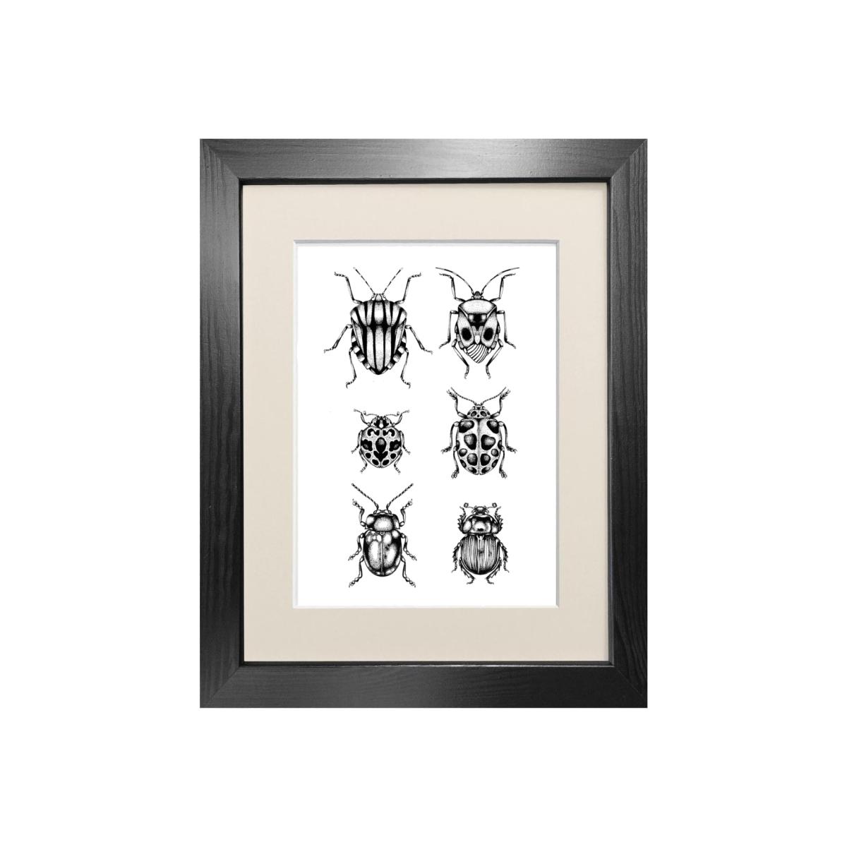 Black 'British Beetles' Fine Art Print A5 Emily Carter