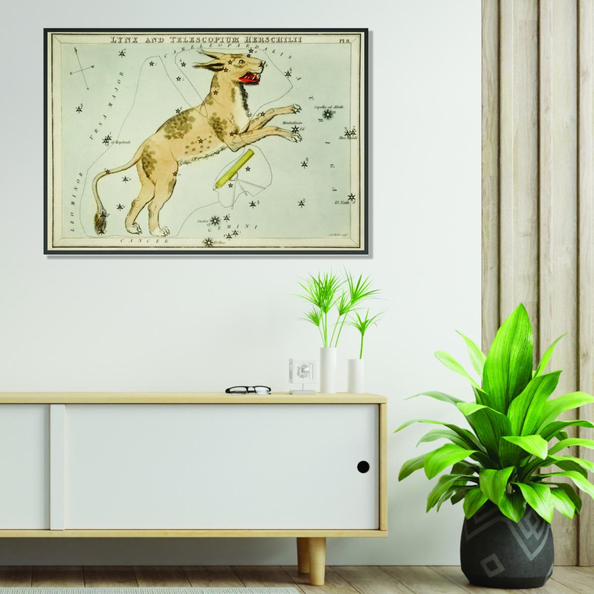 Gold Astronomical Chart Illustration Of Lynx And The Telescopium Herschilii A2 420 X 594Mm Stanley Print House – image 3
