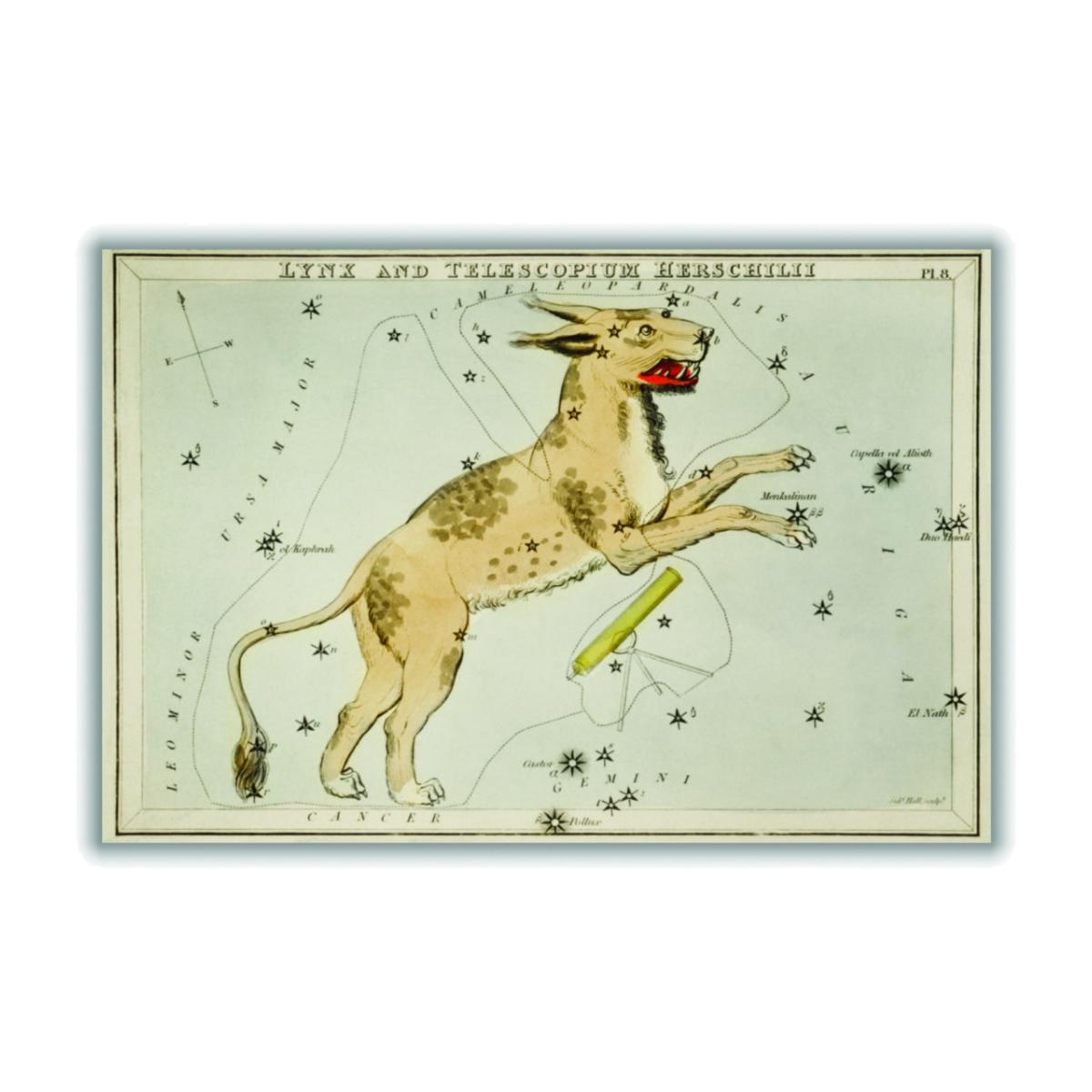 Gold Astronomical Chart Illustration Of Lynx And The Telescopium Herschilii A2 420 X 594Mm Stanley Print House – image 1