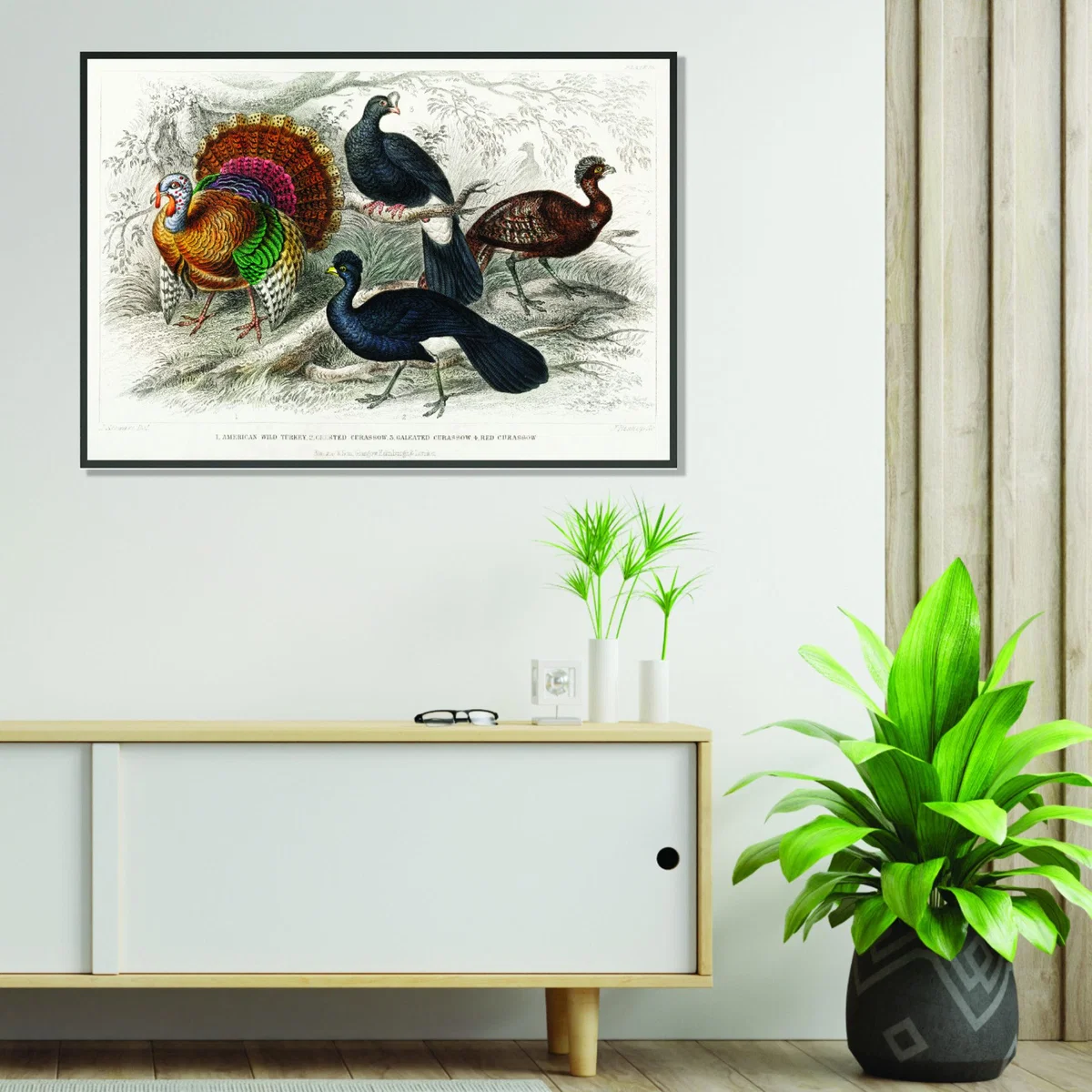 Various Types Of Turkey A4 210 X 297Mm Stanley Print House – image 3