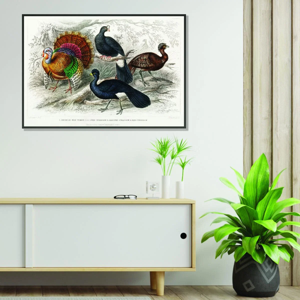 Various Types Of Turkey Extra Small Stanley Print House – image 3