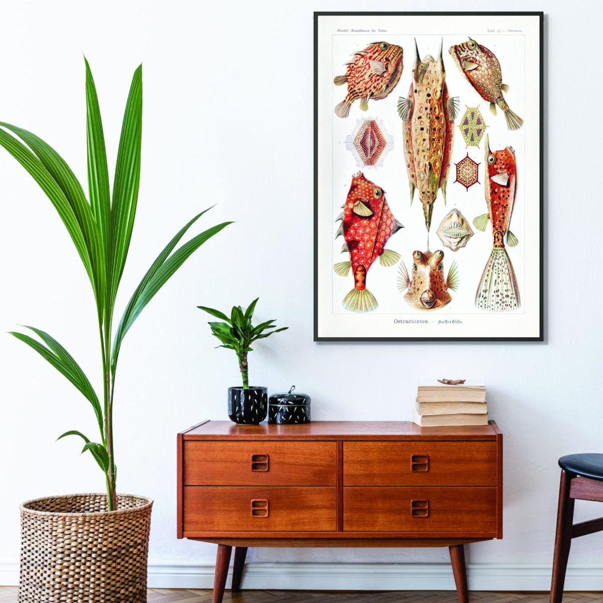 Red Ostraciontes-Kofferfilche By Ernst Haeckel Extra Large Stanley Print House – image 3