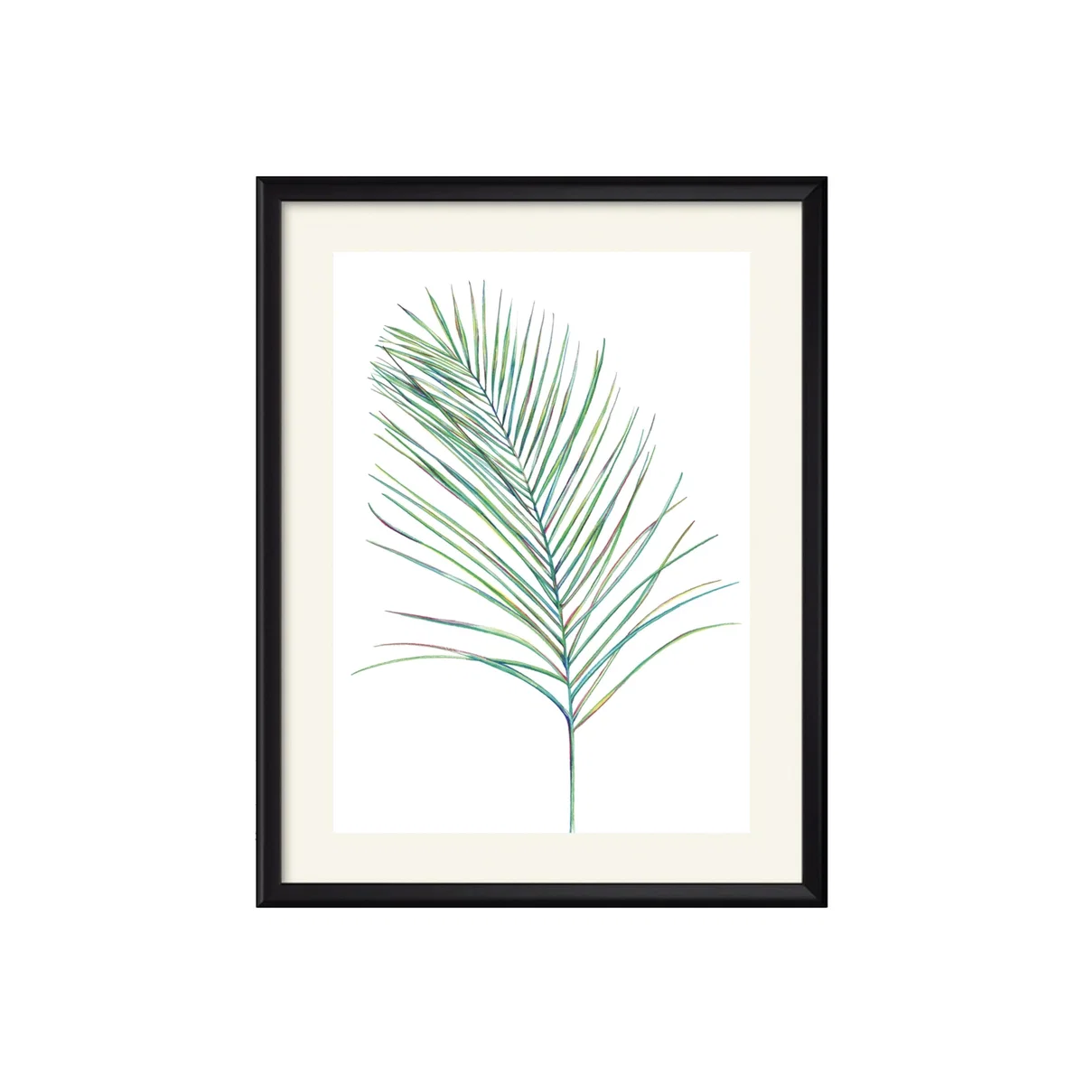 Leaf Two Claudine O'sullivan Illustration & Design
