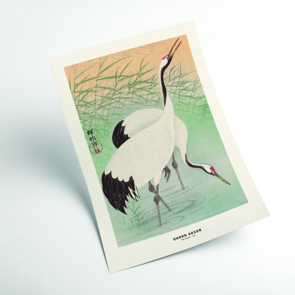 White Ohara Koson - Two Cranes Xxs Stanley Print House – image 2