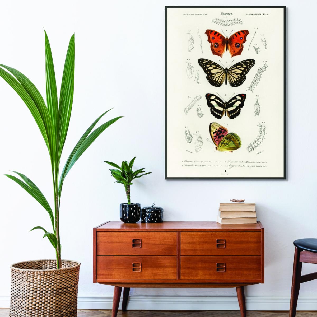 Collection Of Butterflies Print Large Stanley Print House – image 3