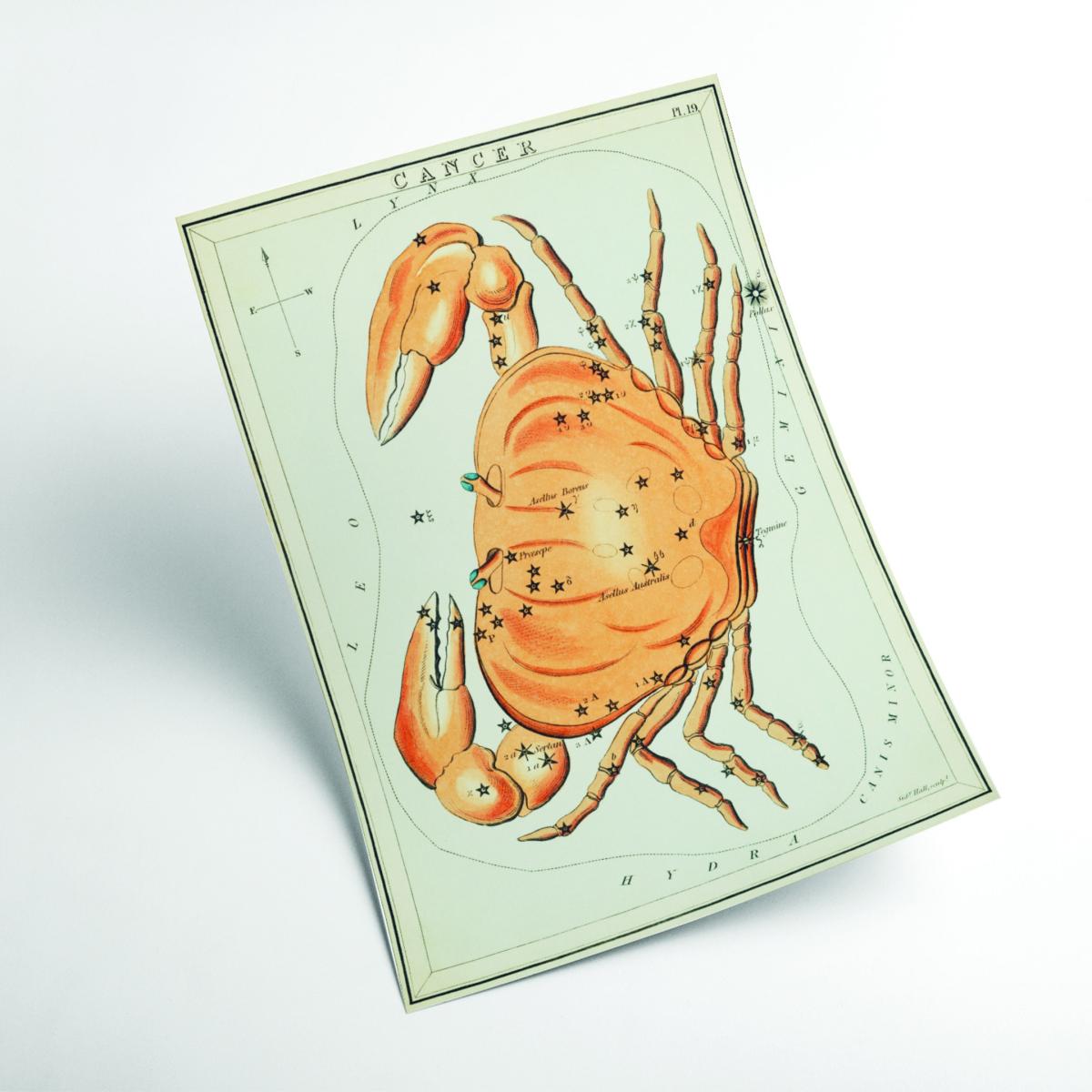 Yellow / Orange Astronomical Chart Illustration Of The Cancer Zodiac A4 210 X 297Mm Stanley Print House – image 2