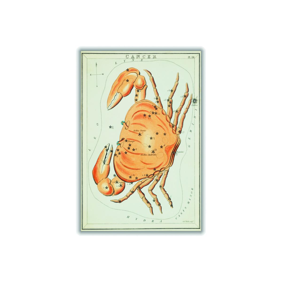 Yellow / Orange Astronomical Chart Illustration Of The Cancer Zodiac A4 210 X 297Mm Stanley Print House – image 1