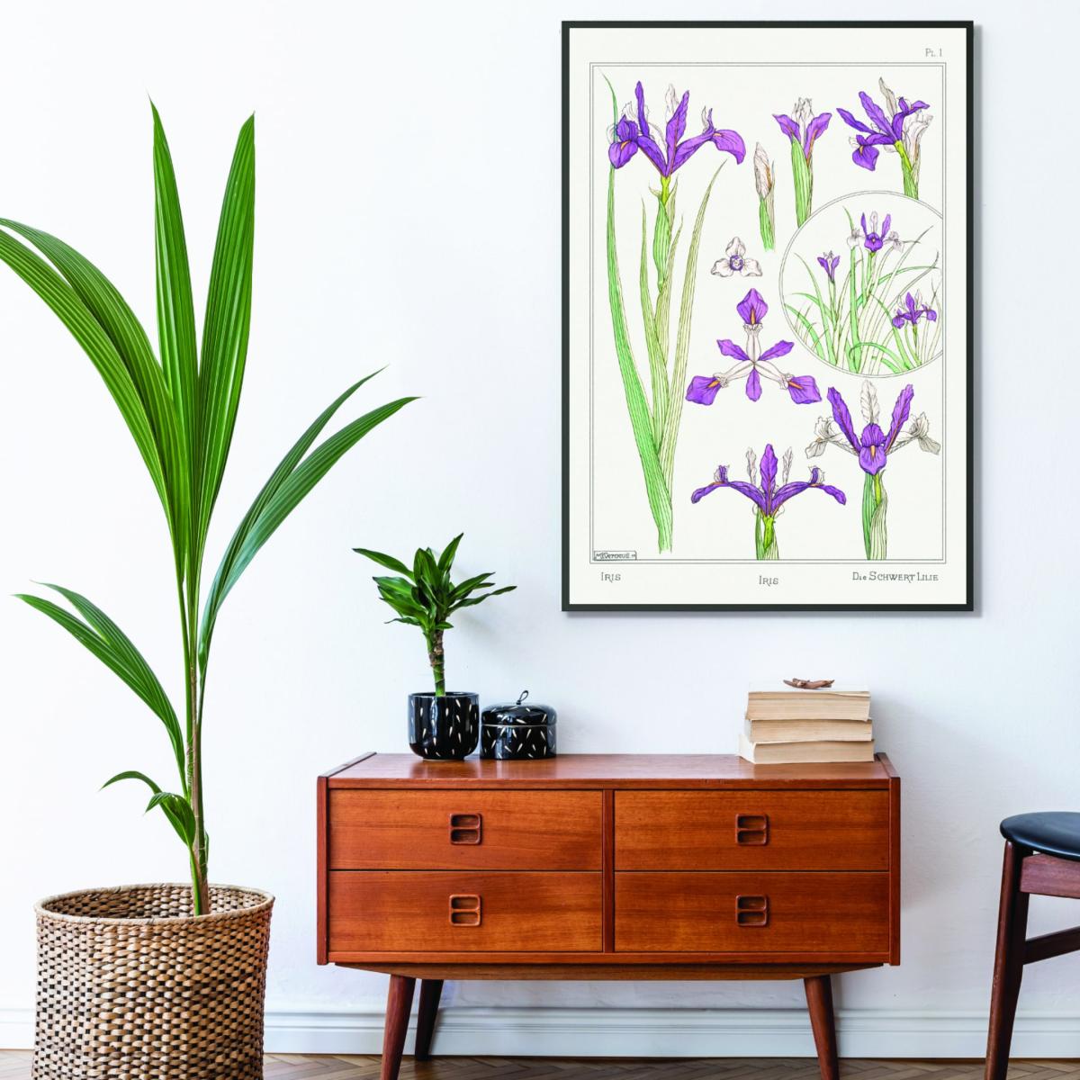 Iris Print By Maurice Pillard Verneuil A4 210 X 297Mm Stanley Print House – image 3