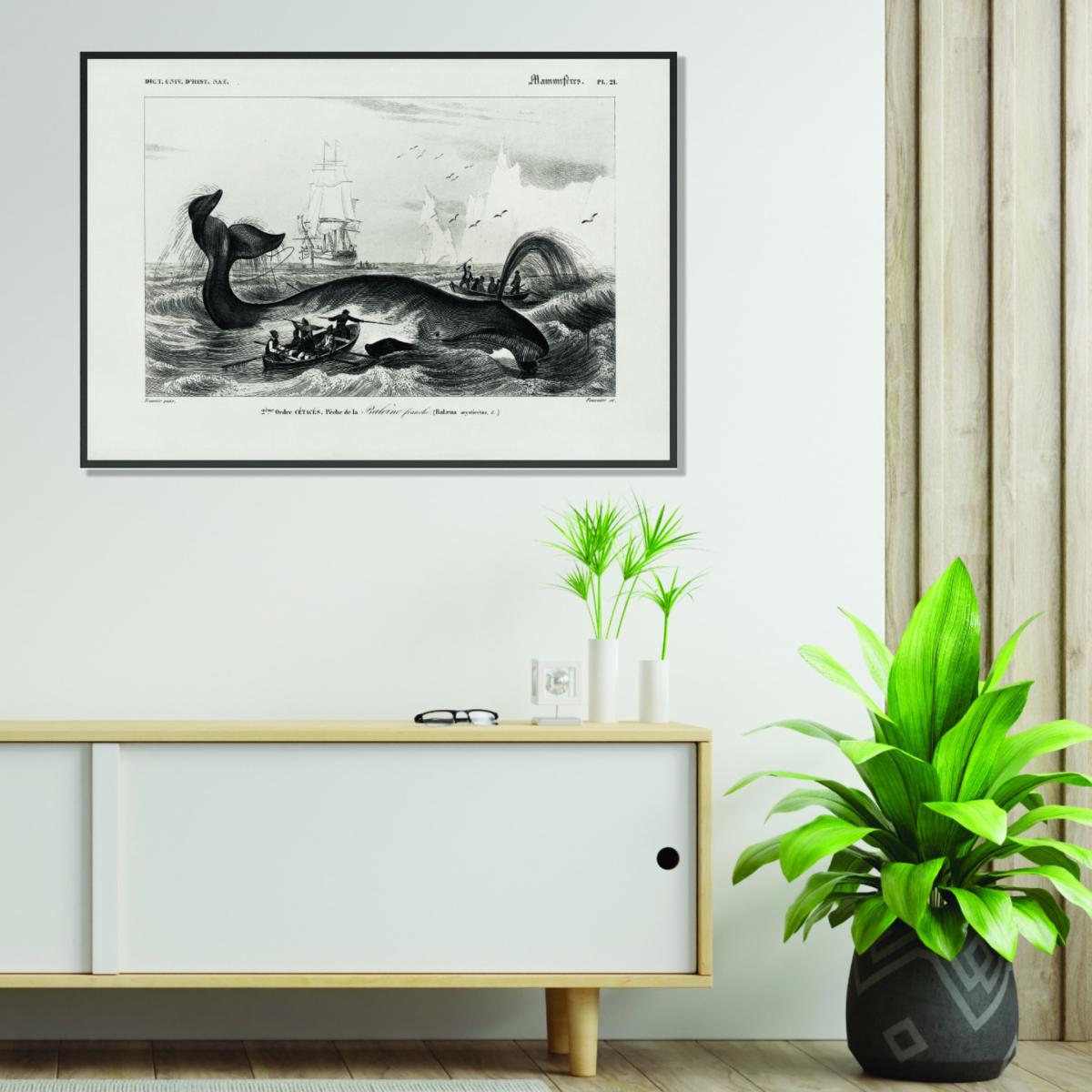 Black Bowhead Whale Xxs Stanley Print House – image 3