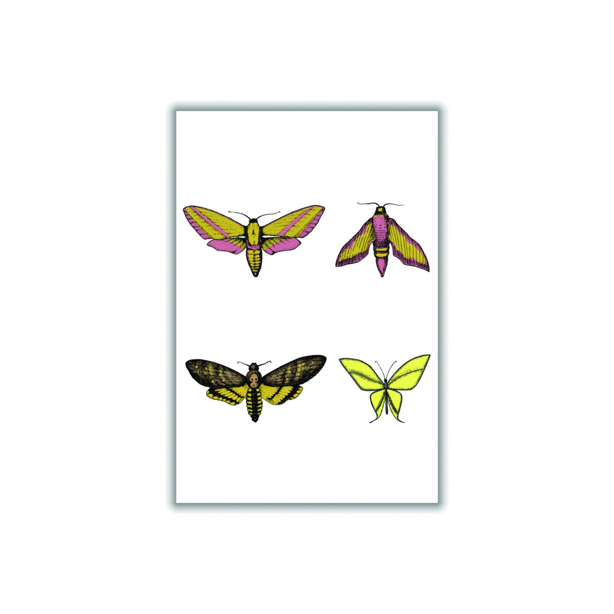 Vintage Moths A4 210 X 297Mm Stanley Print House – image 1