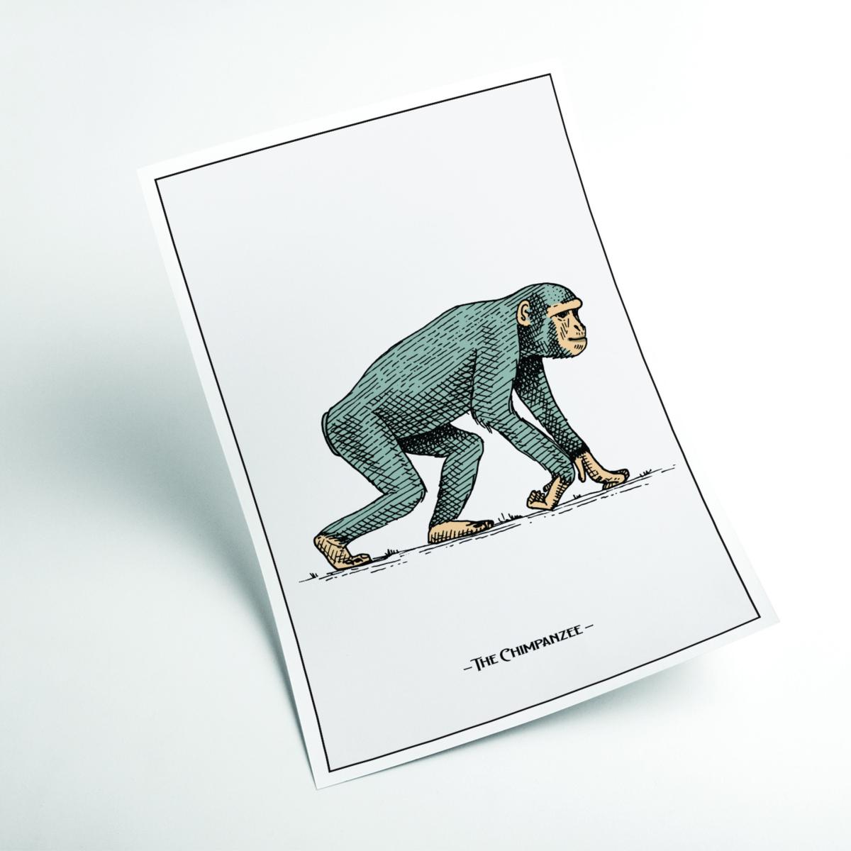 Grey The Chimpanzee Large Stanley Print House – image 2