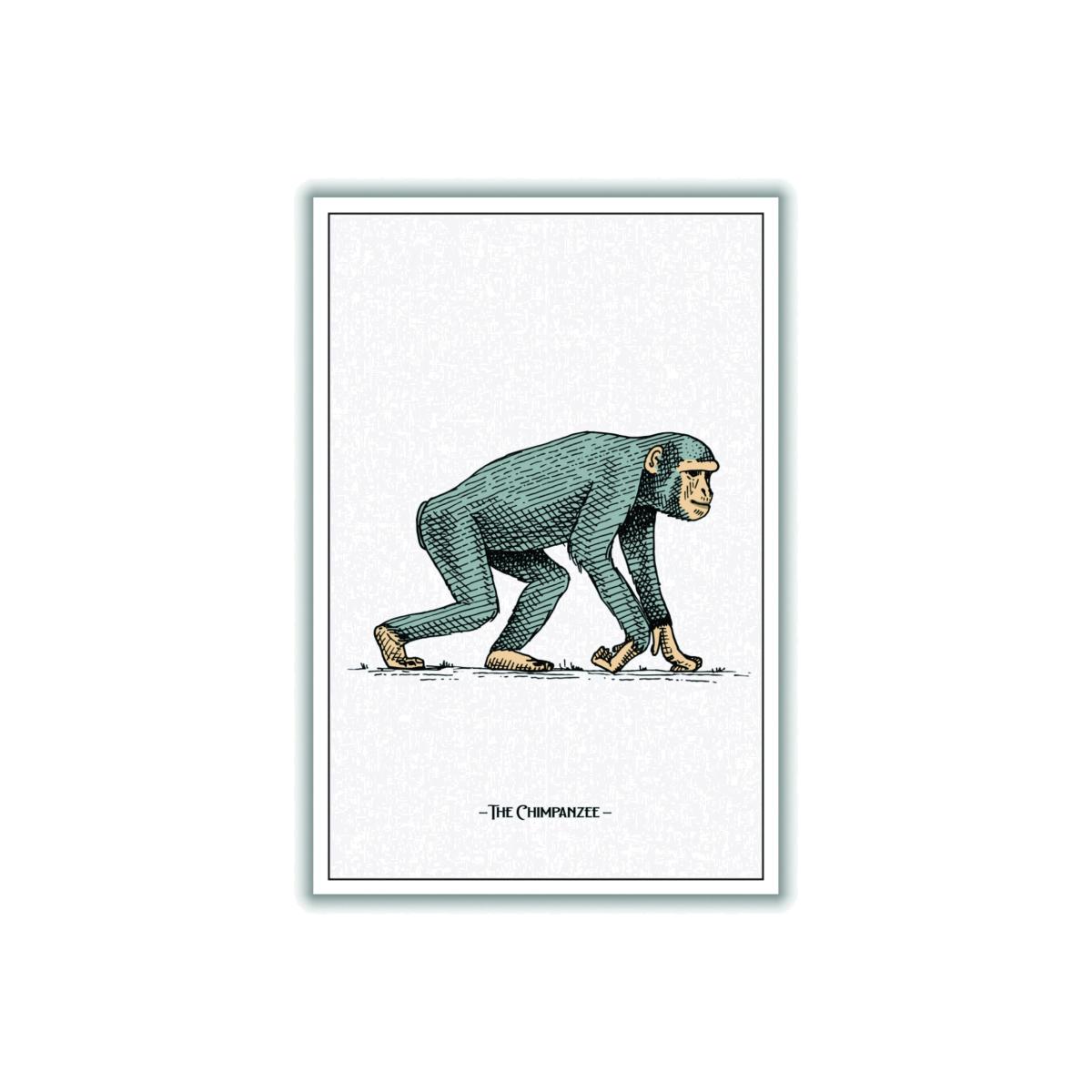 Grey The Chimpanzee Large Stanley Print House – image 1