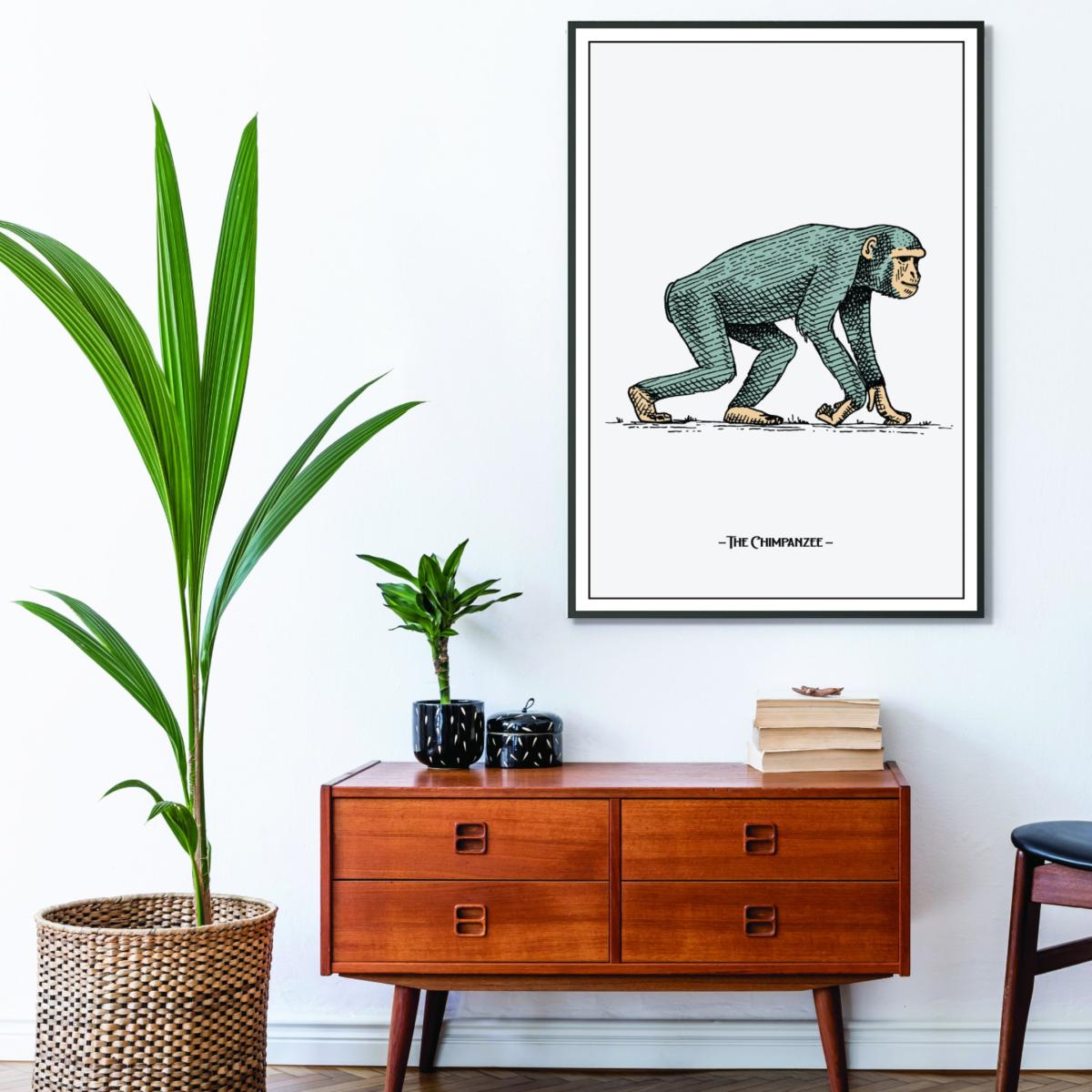 Grey The Chimpanzee Xxs Stanley Print House – image 3