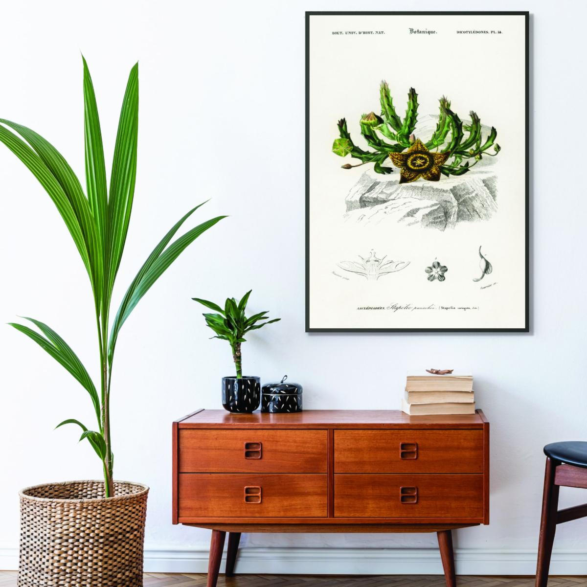 Green Carrion Flower Print A2 420 X 594Mm Stanley Print House – image 3