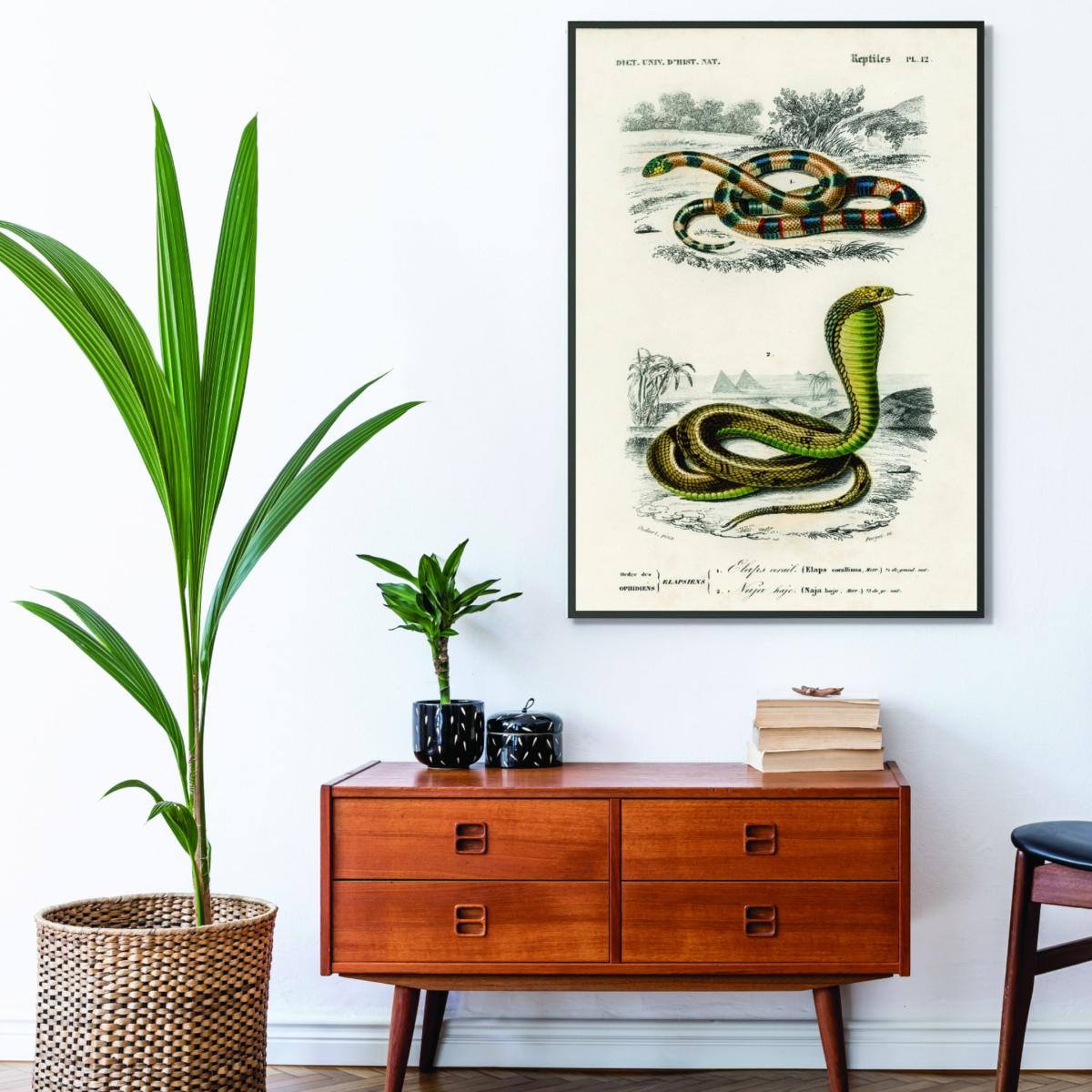Green Coral Snake And Egyptian Cobra Extra Small Stanley Print House – image 3