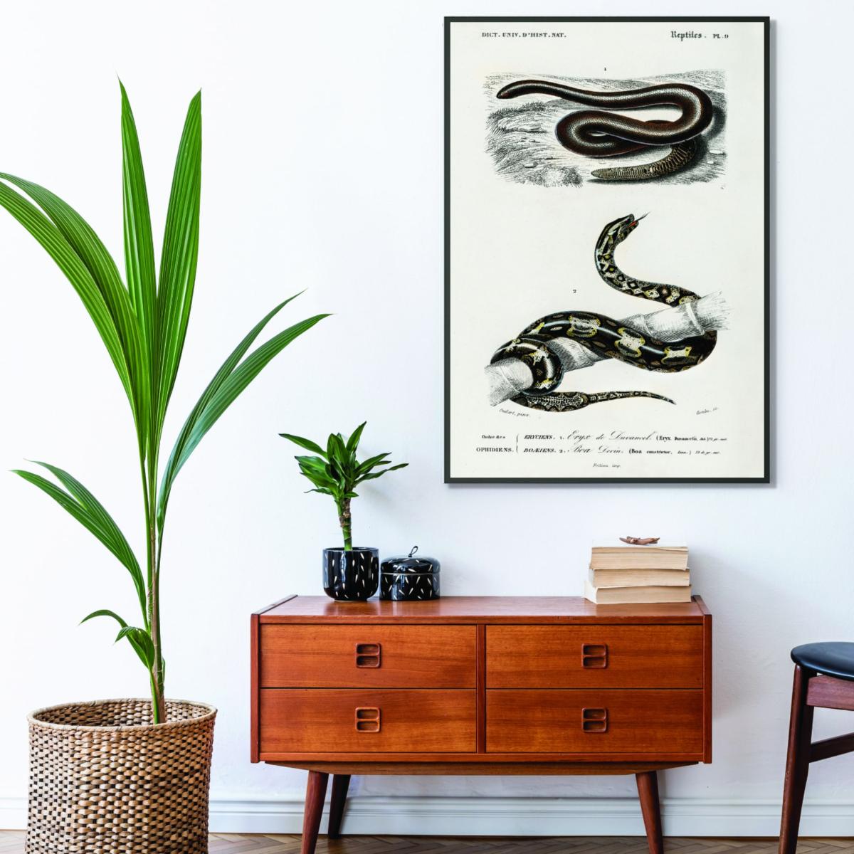 Black Eryx And The Red Tailed Boa Print Extra Small Stanley Print House – image 3