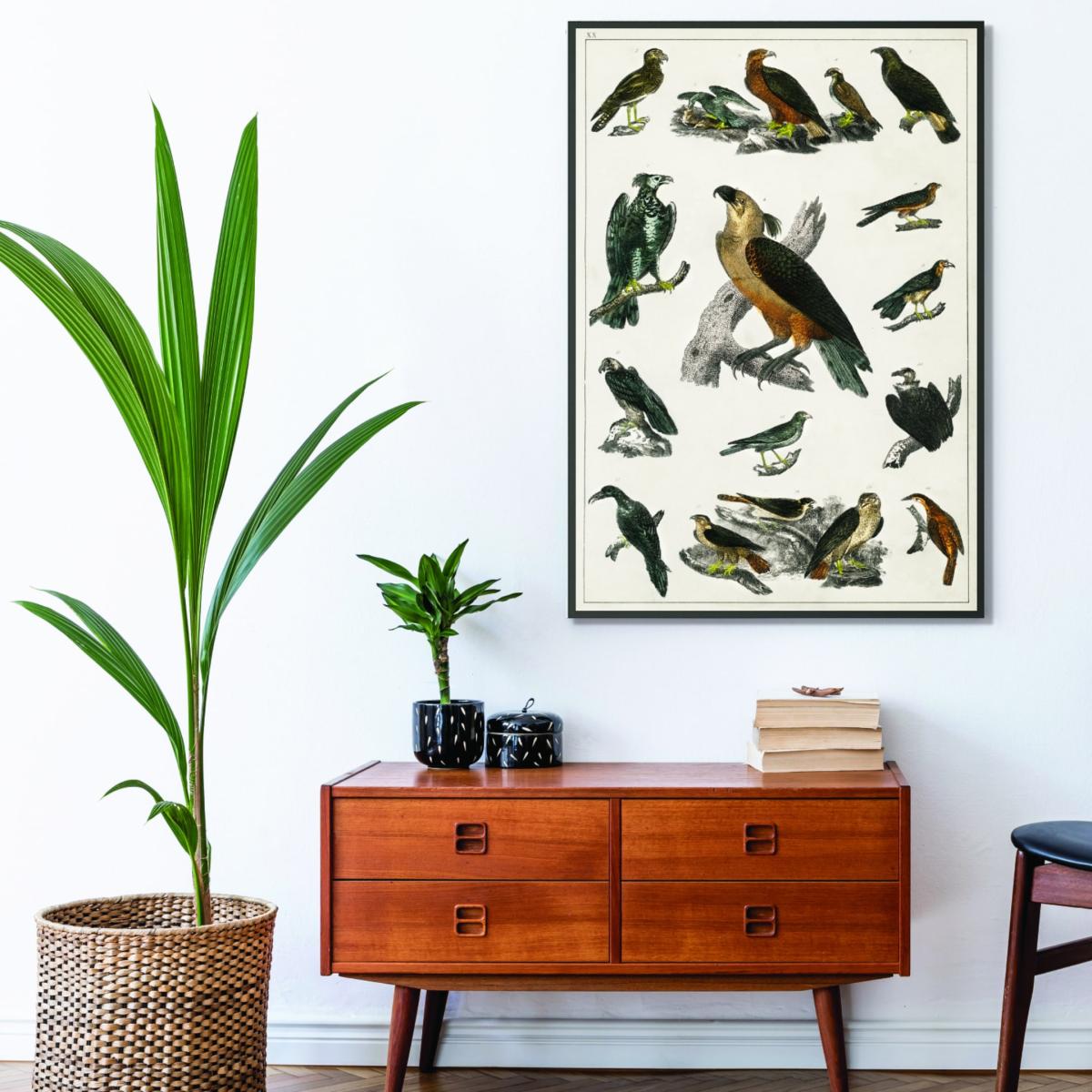 Brown Collection Of Birds Vi Print A2 420 X 594Mm Stanley Print House – image 3