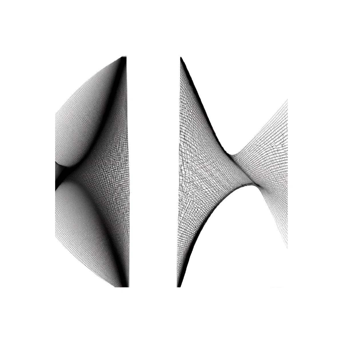 Maui Island - Black & White A3 297 X 420Mm Volsew Paris – image 1