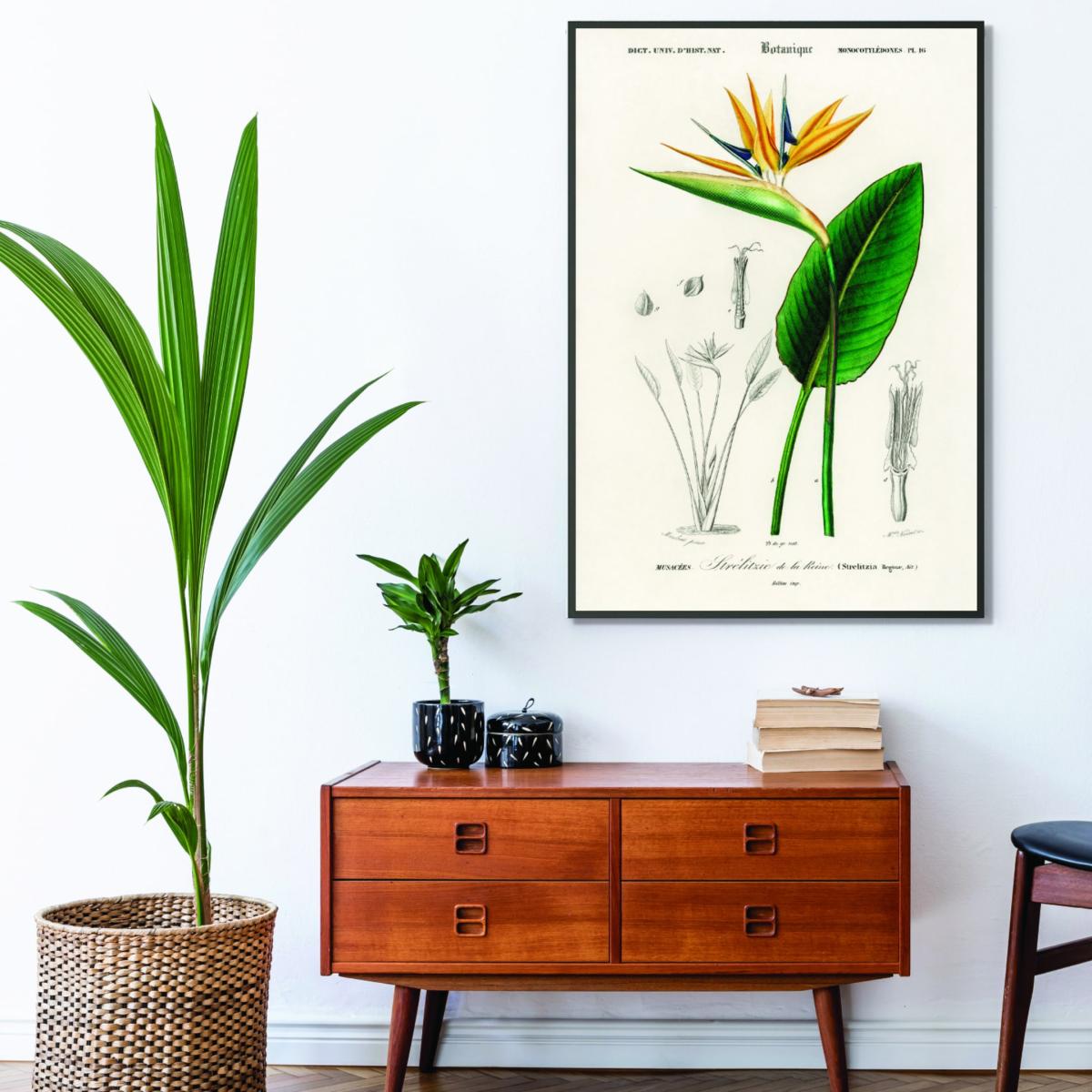 Green Bird Of Paradise A4 210 X 297Mm Stanley Print House – image 3