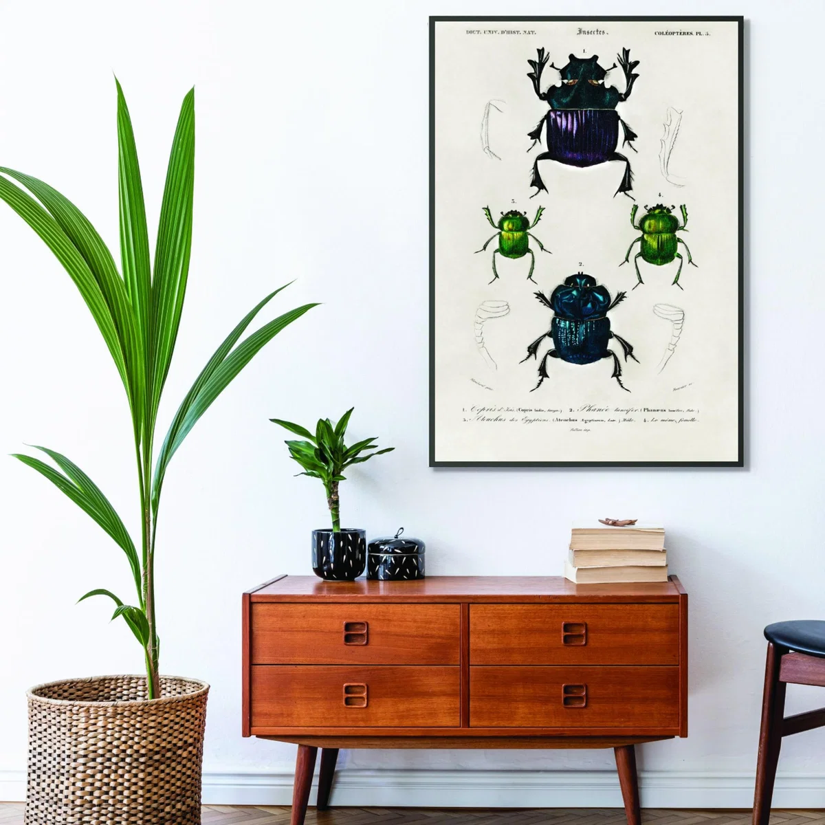 Vintage Insects A4 210 X 297Mm Stanley Print House – image 3