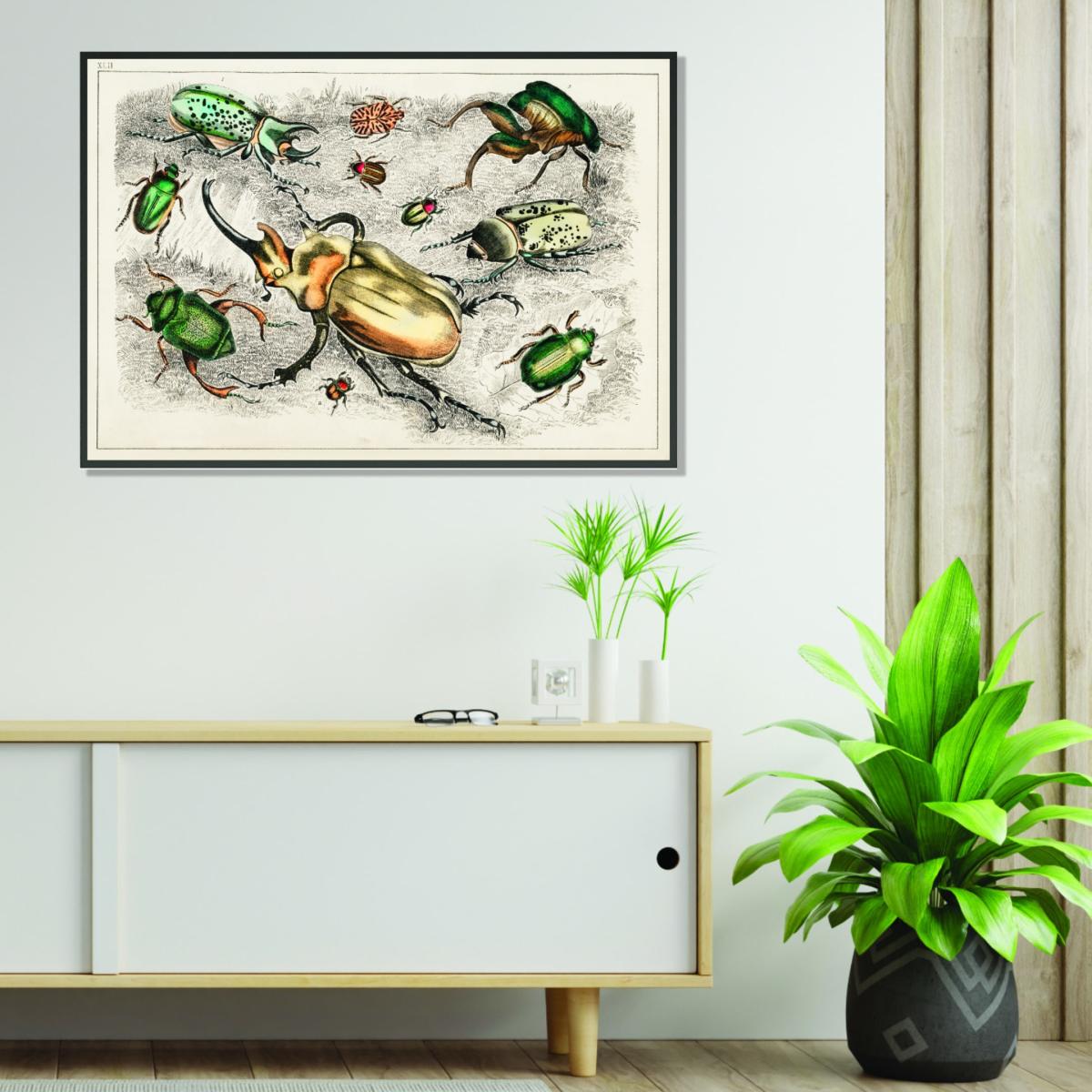 Collection Of Beetles Xxs Stanley Print House – image 3