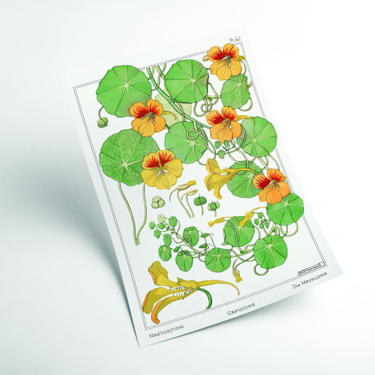 Vintage Botanicals Capucine Green Medium Stanley Print House – image 2