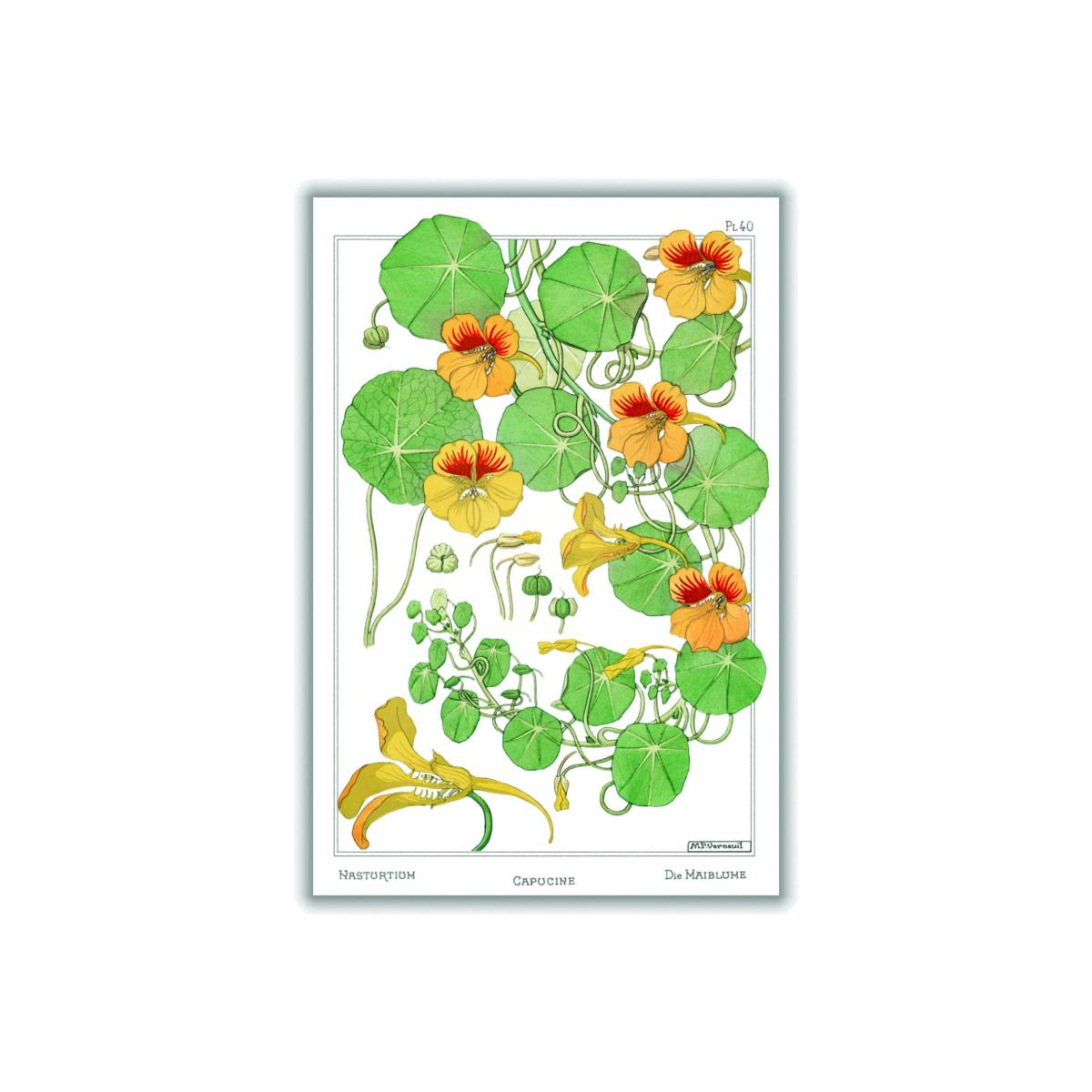Vintage Botanicals Capucine Green Medium Stanley Print House – image 1
