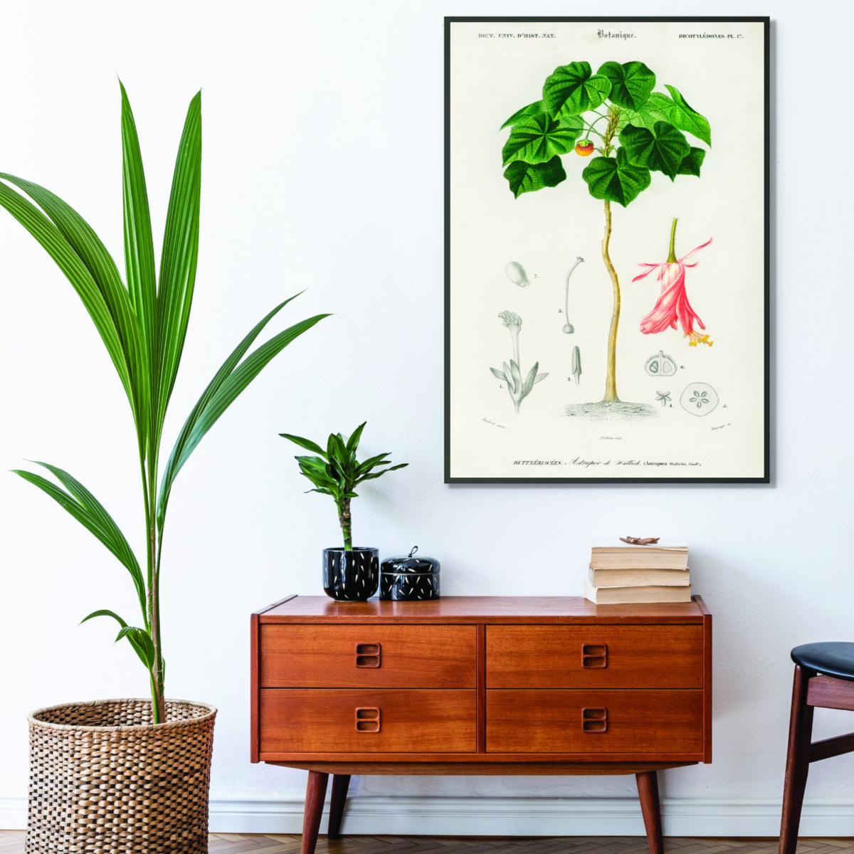 Green Astrapoea Wallichii Medium Stanley Print House – image 3