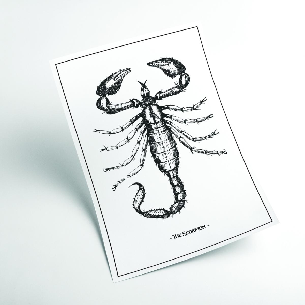 Black The Scorpion Xxs Stanley Print House – image 2