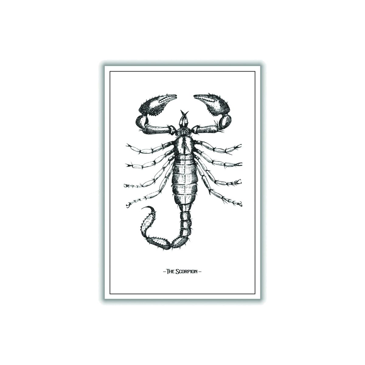 Black The Scorpion Xxs Stanley Print House – image 1