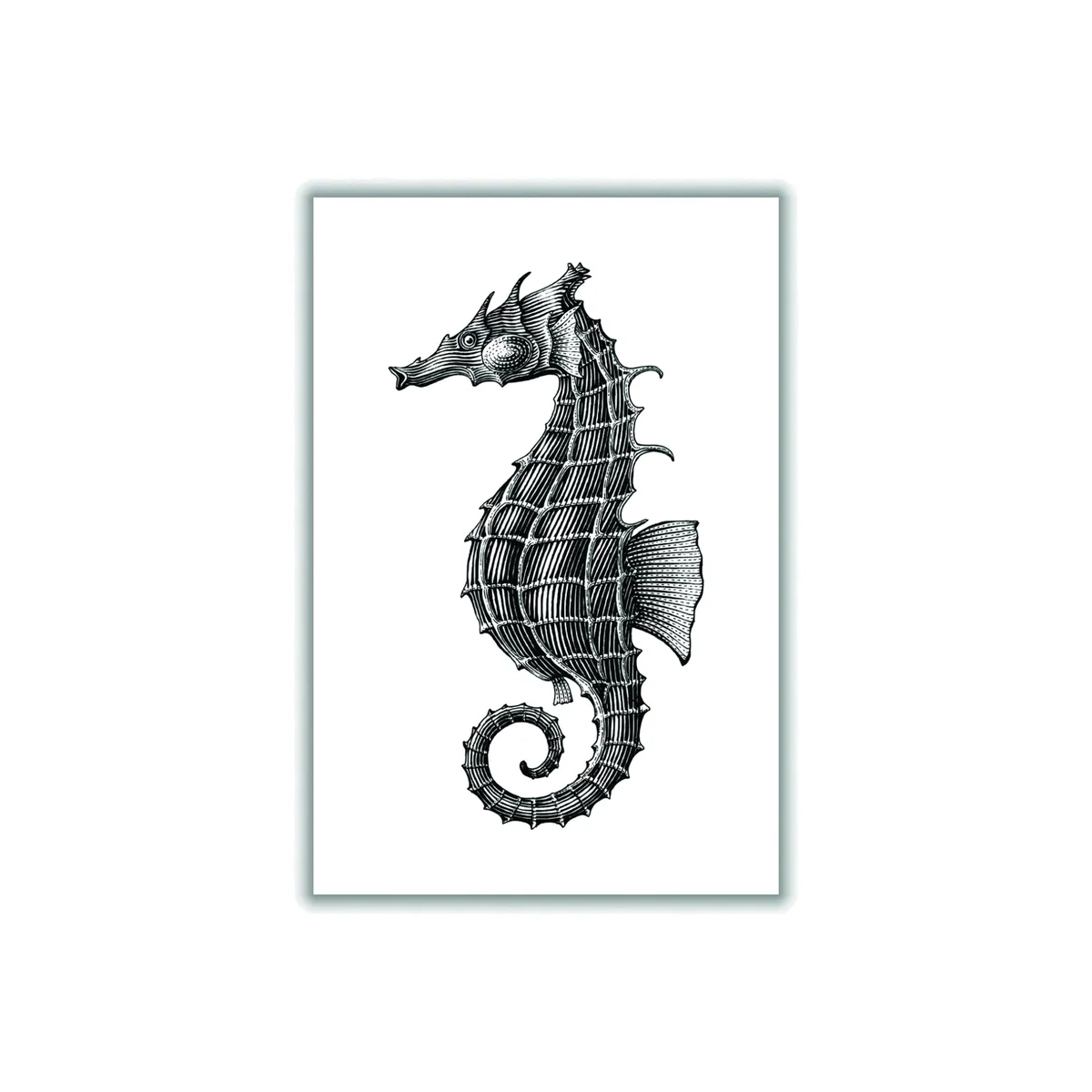 Black Seahorse Medium Stanley Print House – image 1
