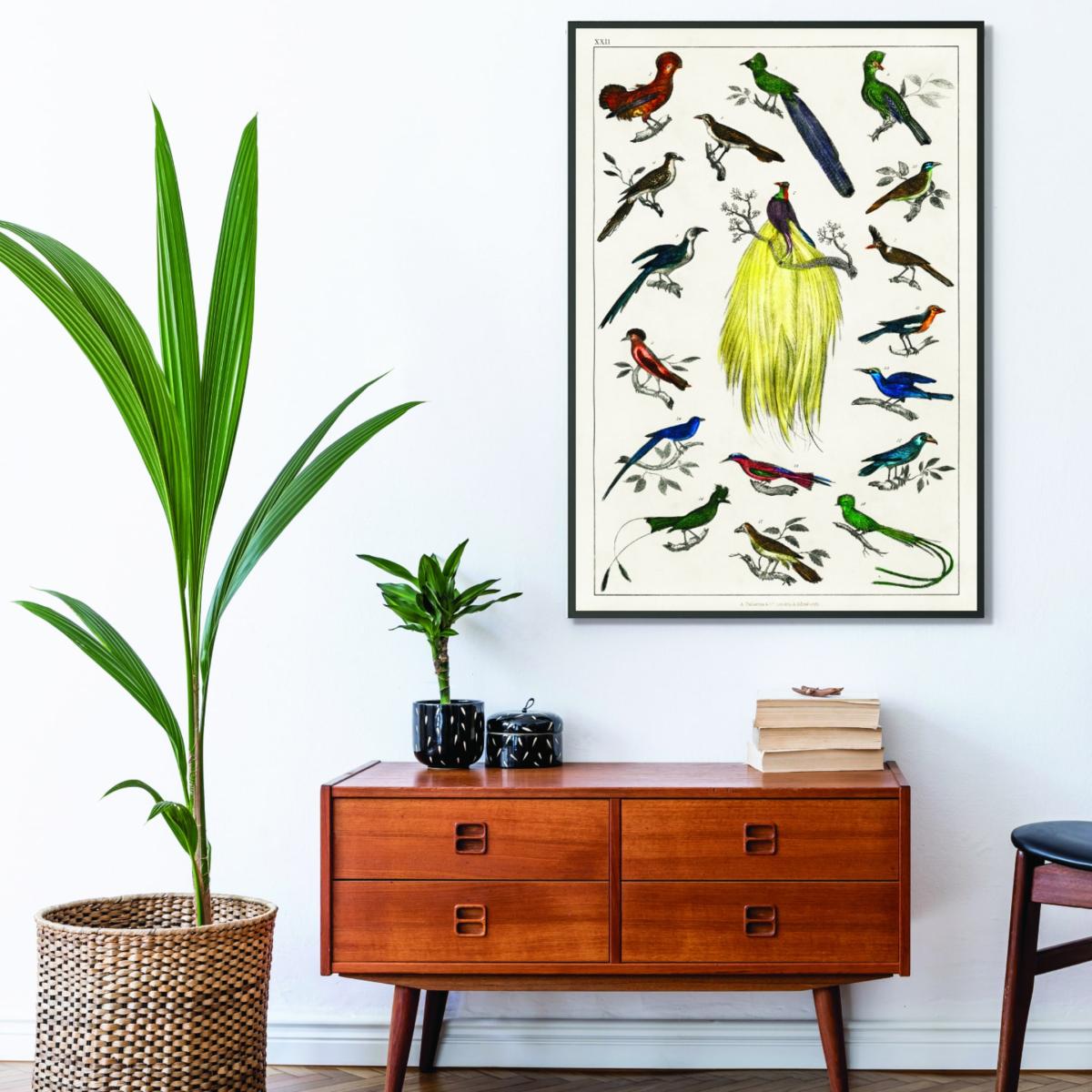 Brown Collection Of Birds Iiii Print Medium Stanley Print House – image 3