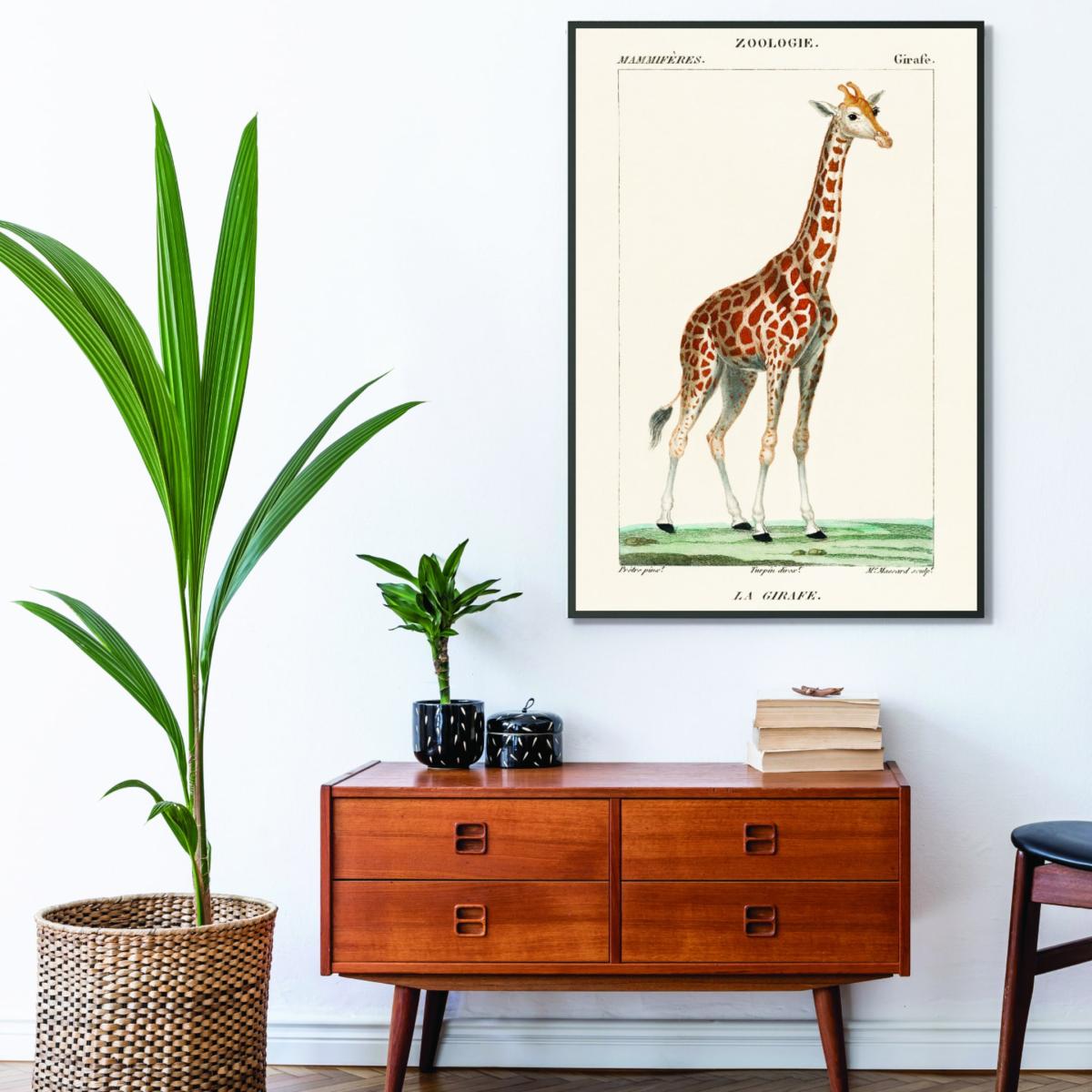 Gold Giraffe Illustration A1 594 X 841Mm Stanley Print House – image 3