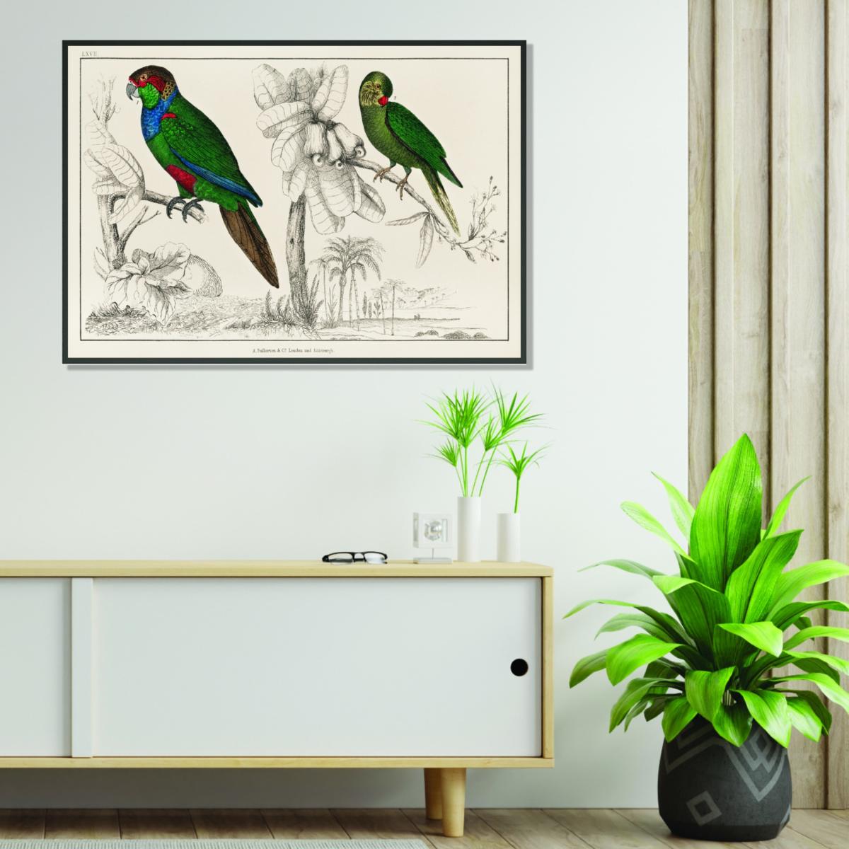 Green Two Parakeets Extra Small Stanley Print House – image 3