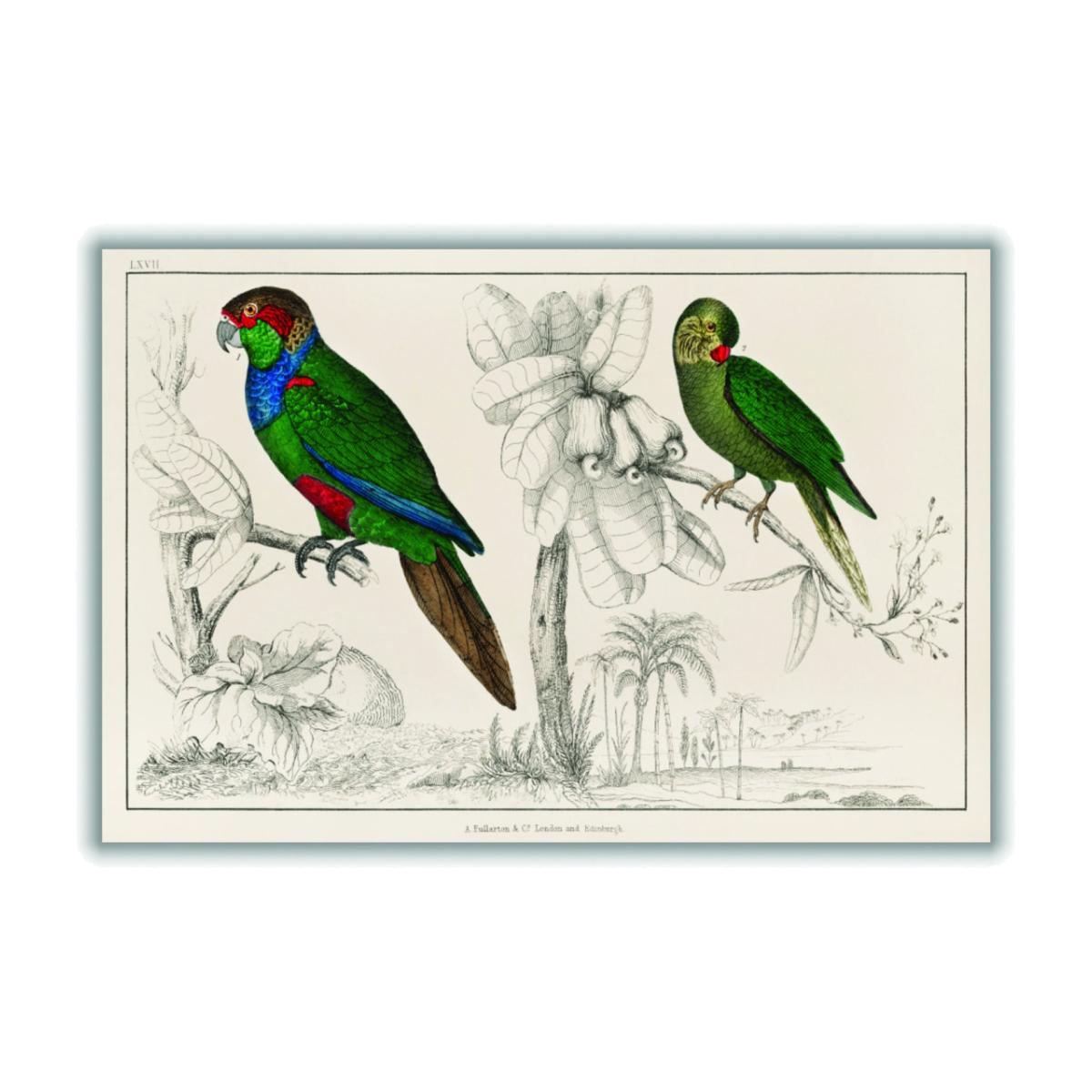 Green Two Parakeets Extra Small Stanley Print House – image 1