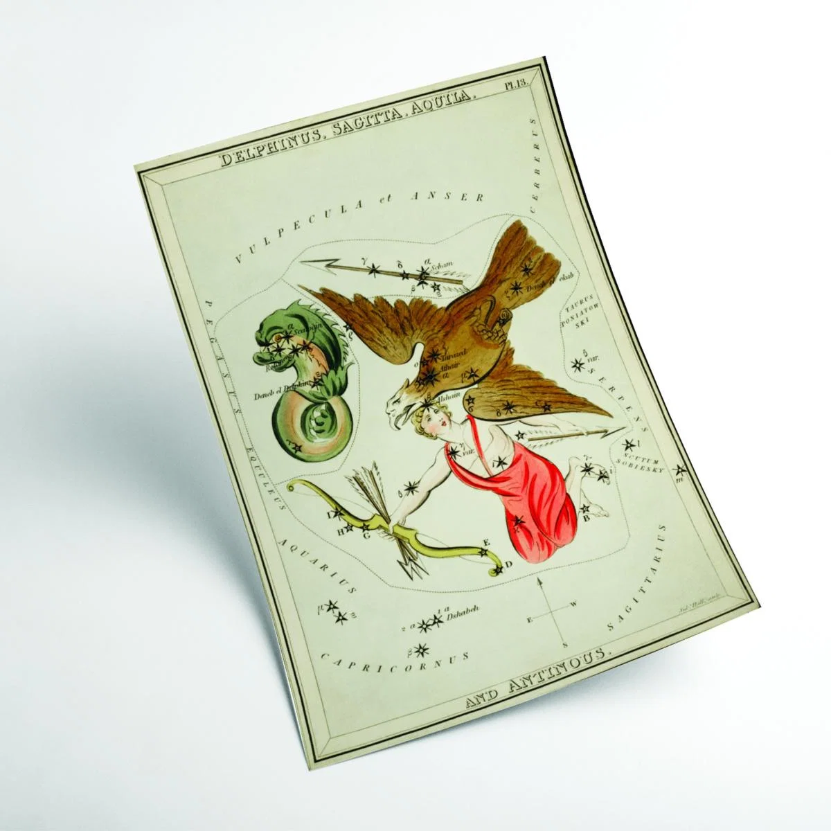 Yellow / Orange Astronomical Chart Illustration Of The Delphinus - Sagitta - Aquila A2 420 X 594Mm Stanley Print House – image 2