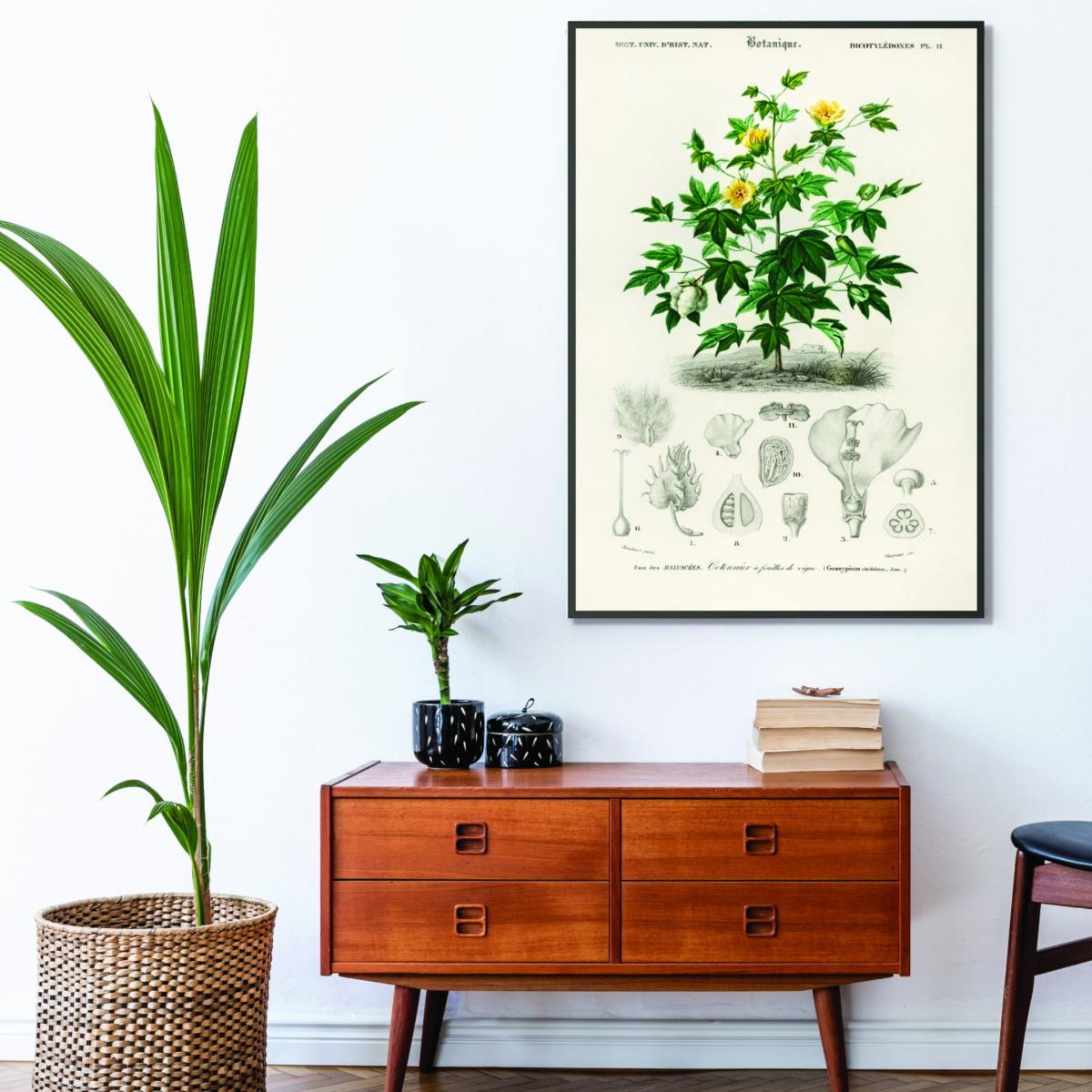 Green Sea Island Cotton A2 420 X 594Mm Stanley Print House – image 3