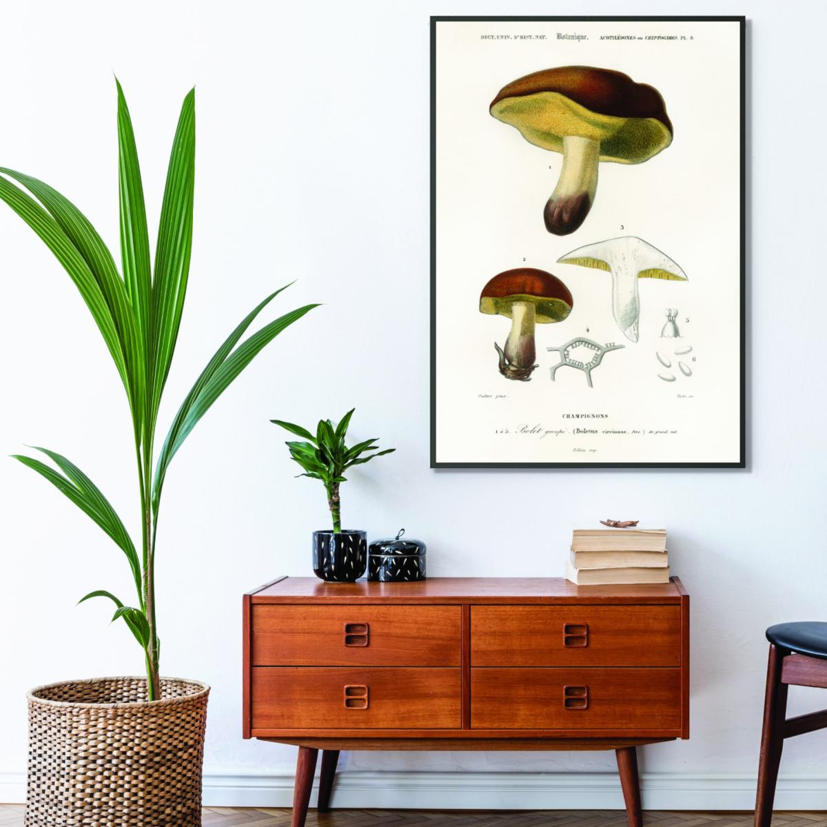 Brown Mushroom Illustration Print Extra Small Stanley Print House – image 3