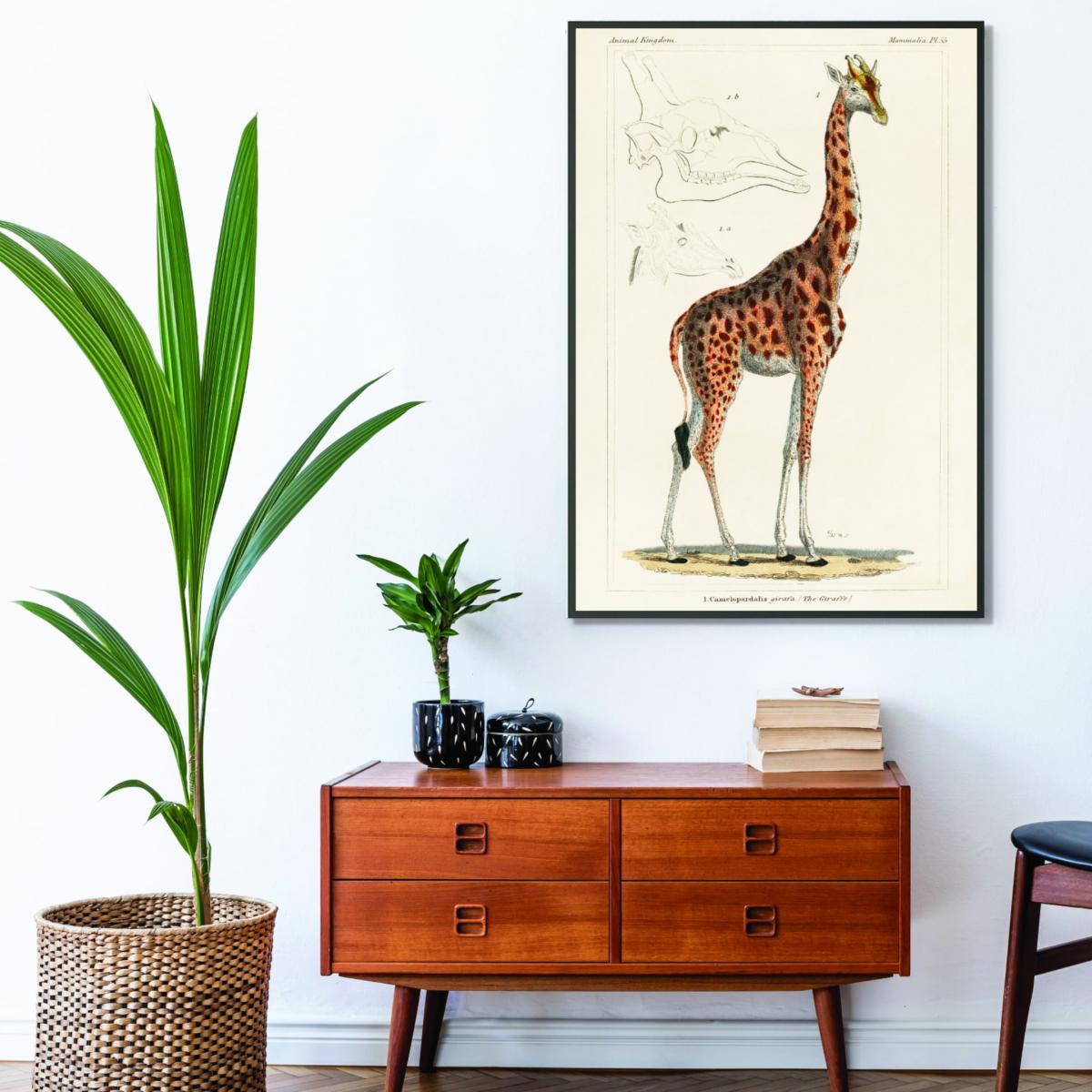 Gold Animal Kingdom - The Giraffe A1 594 X 841Mm Stanley Print House – image 3