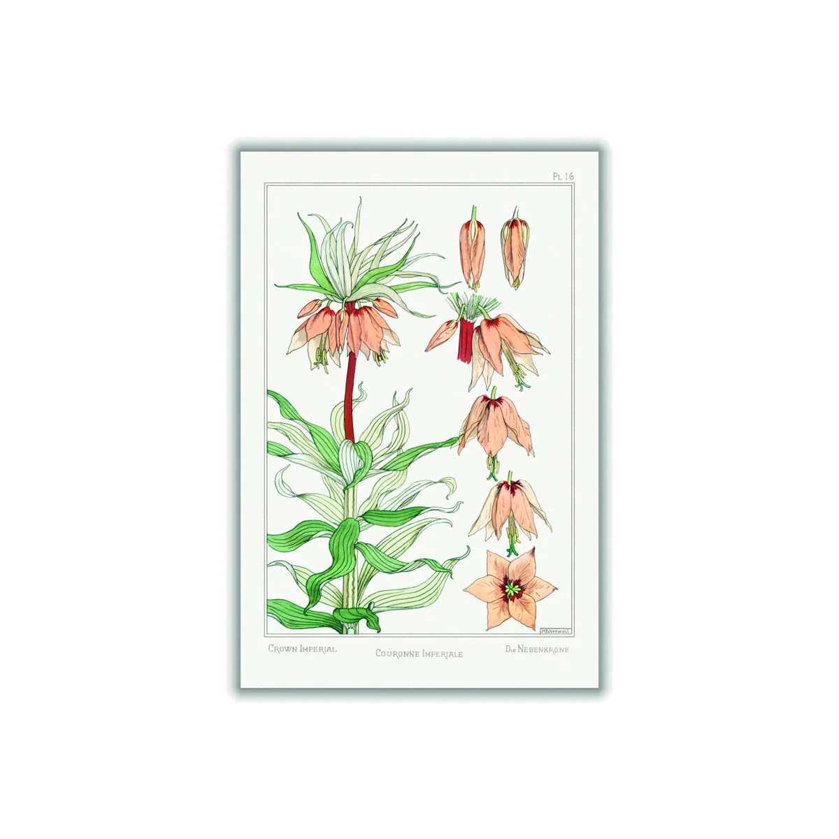 Couronne Impériale Ii Print By Maurice Pillard Verneuil A1 594 X 841Mm Stanley Print House – image 1