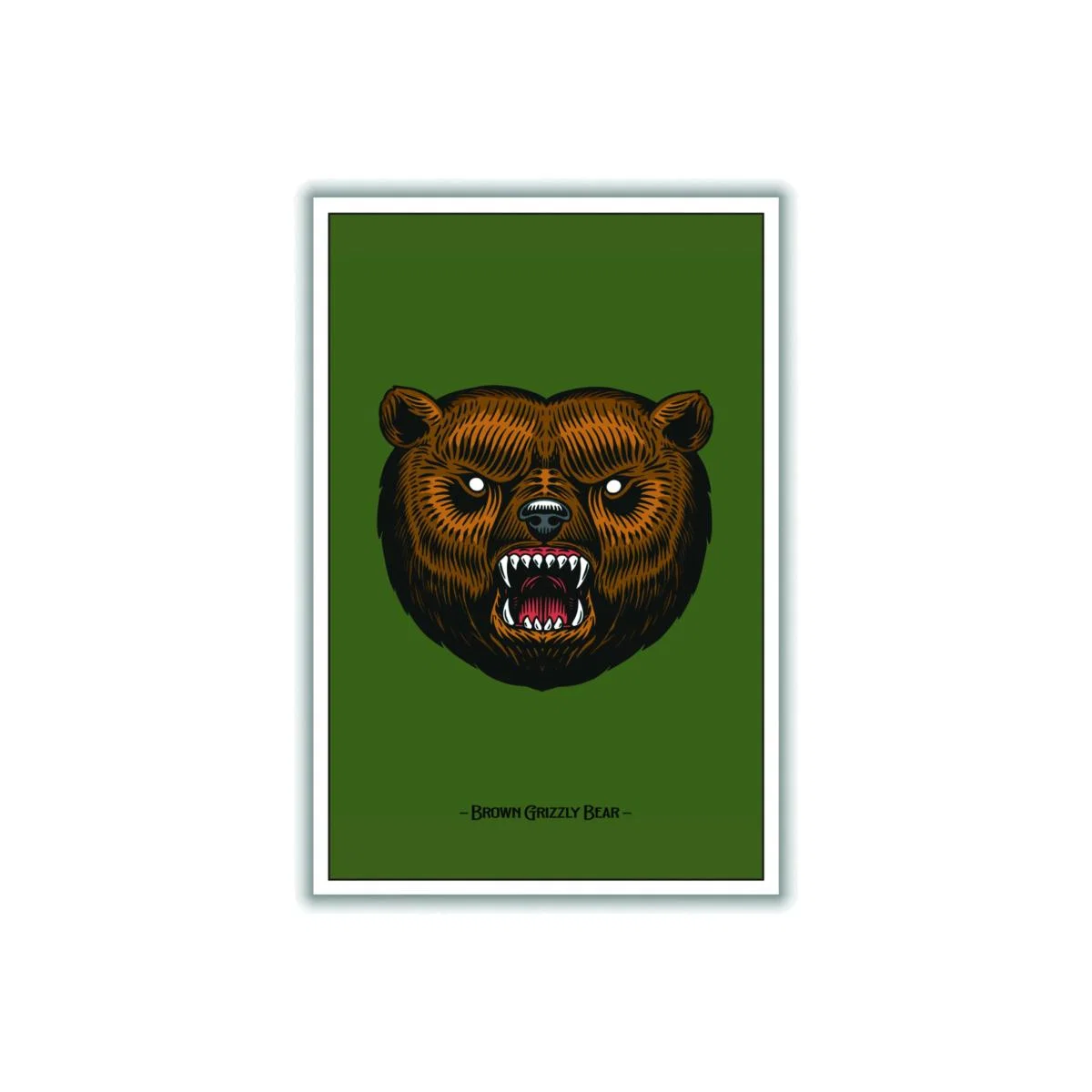 Brown Grizzly Bear A3 297 X 420Mm Stanley Print House – image 1