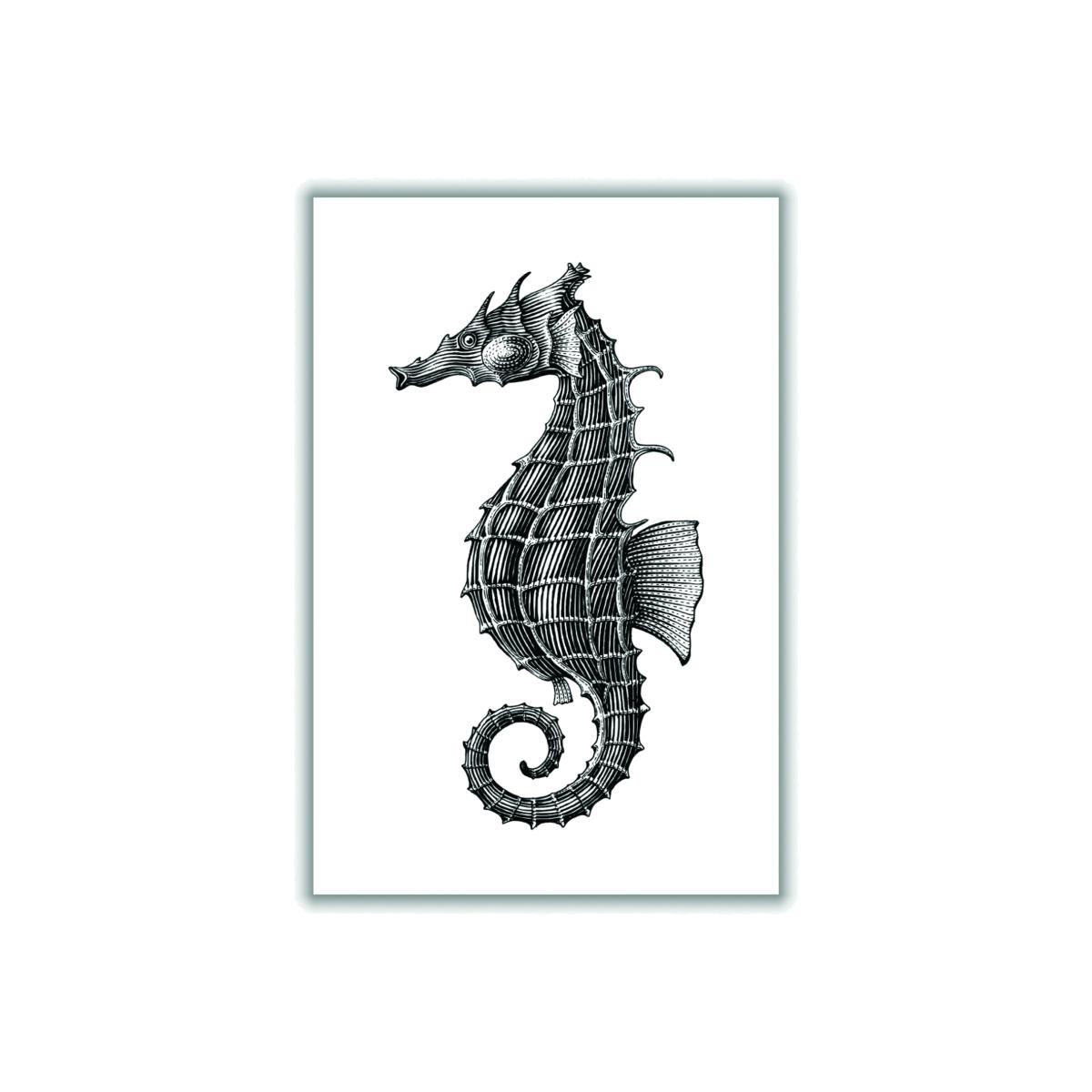 Black Seahorse Xxs Stanley Print House – image 1