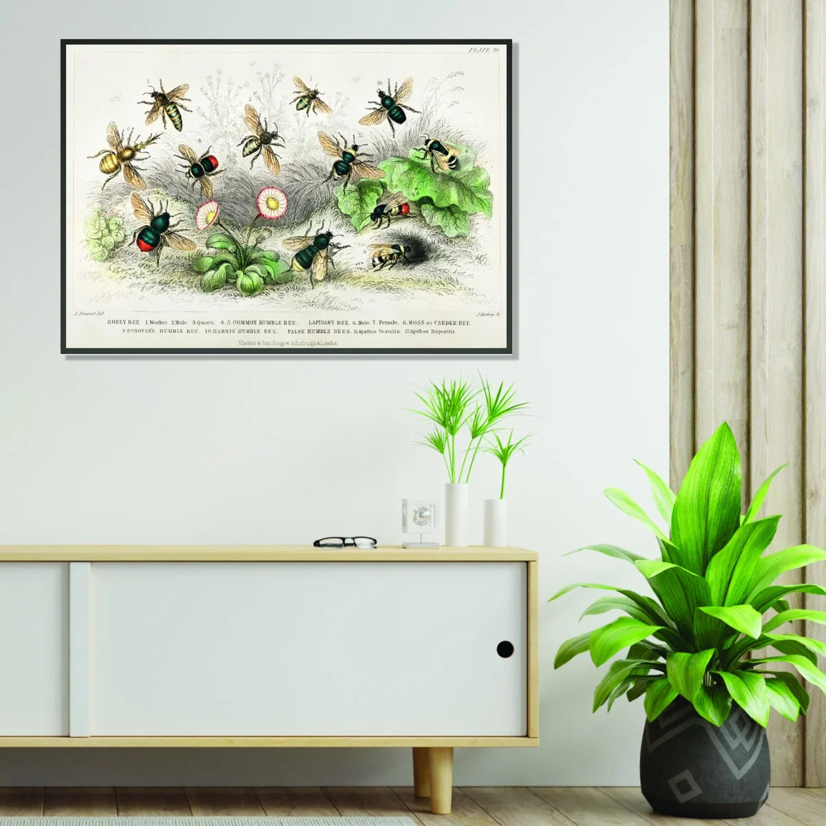 Green Various Types Of Bee Large Stanley Print House – image 3