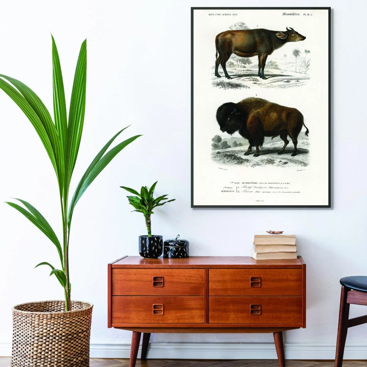 Cow - Brown Xxs Stanley Print House – image 3